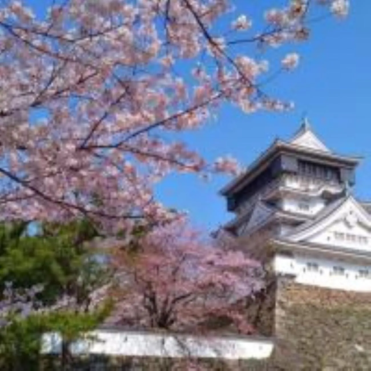 Nearby landmark in Vessel Hotel Kanda Kitakyushu Airport