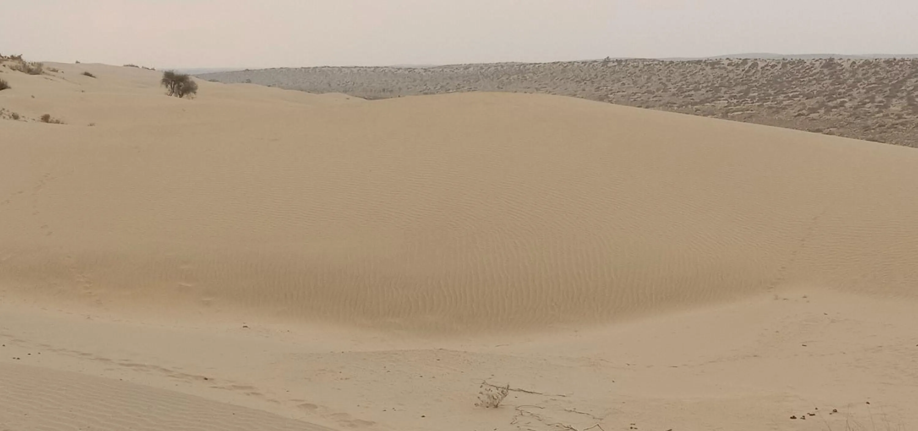 Business facilities in Shiva Guest House