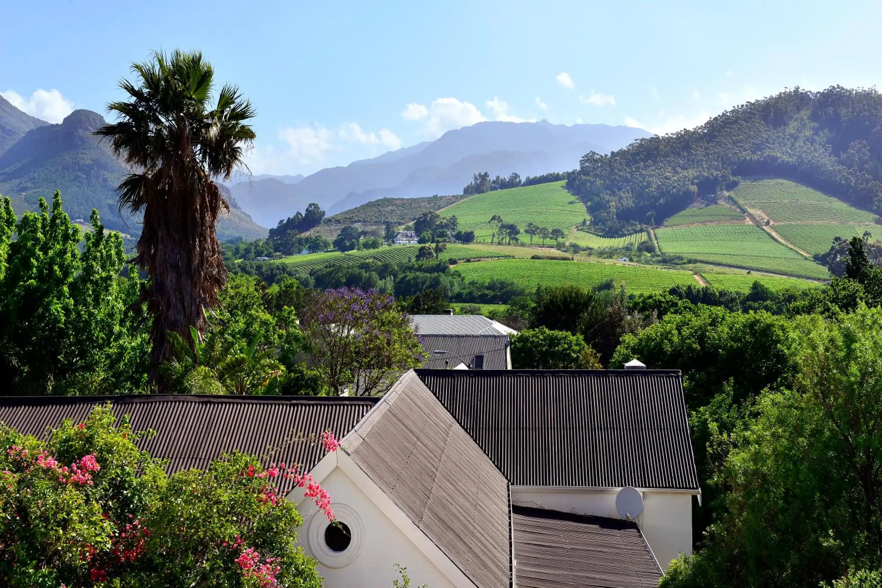 Mountain view in Franschhoek Boutique Hotel - Lion Roars Hotels & Lodges Mountain view in Franschhoek Boutique Hotel - Lion Roars Hotels & Lodges