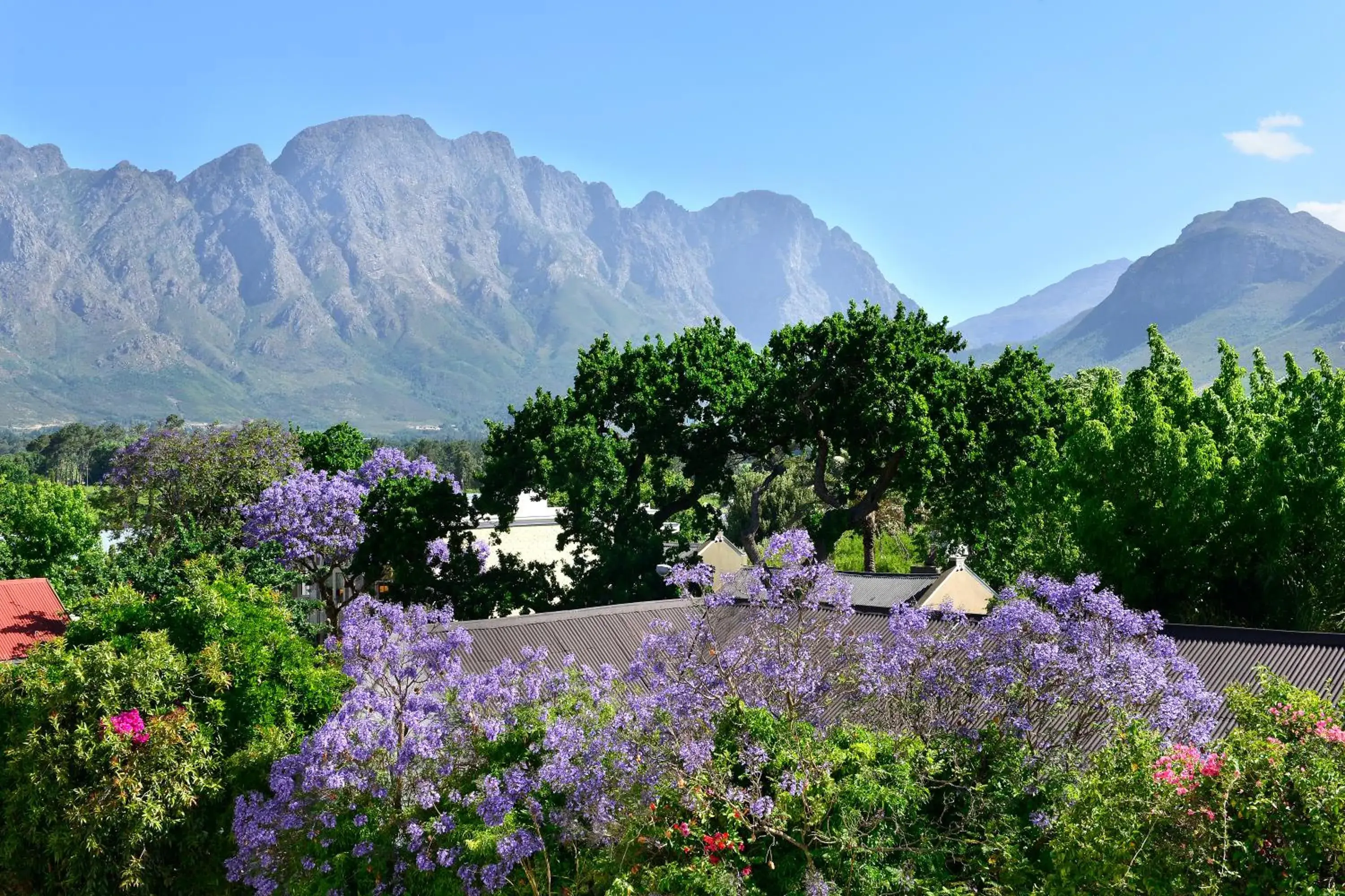 Mountain view in Franschhoek Boutique Hotel - Lion Roars Hotels & Lodges Mountain view in Franschhoek Boutique Hotel - Lion Roars Hotels & Lodges