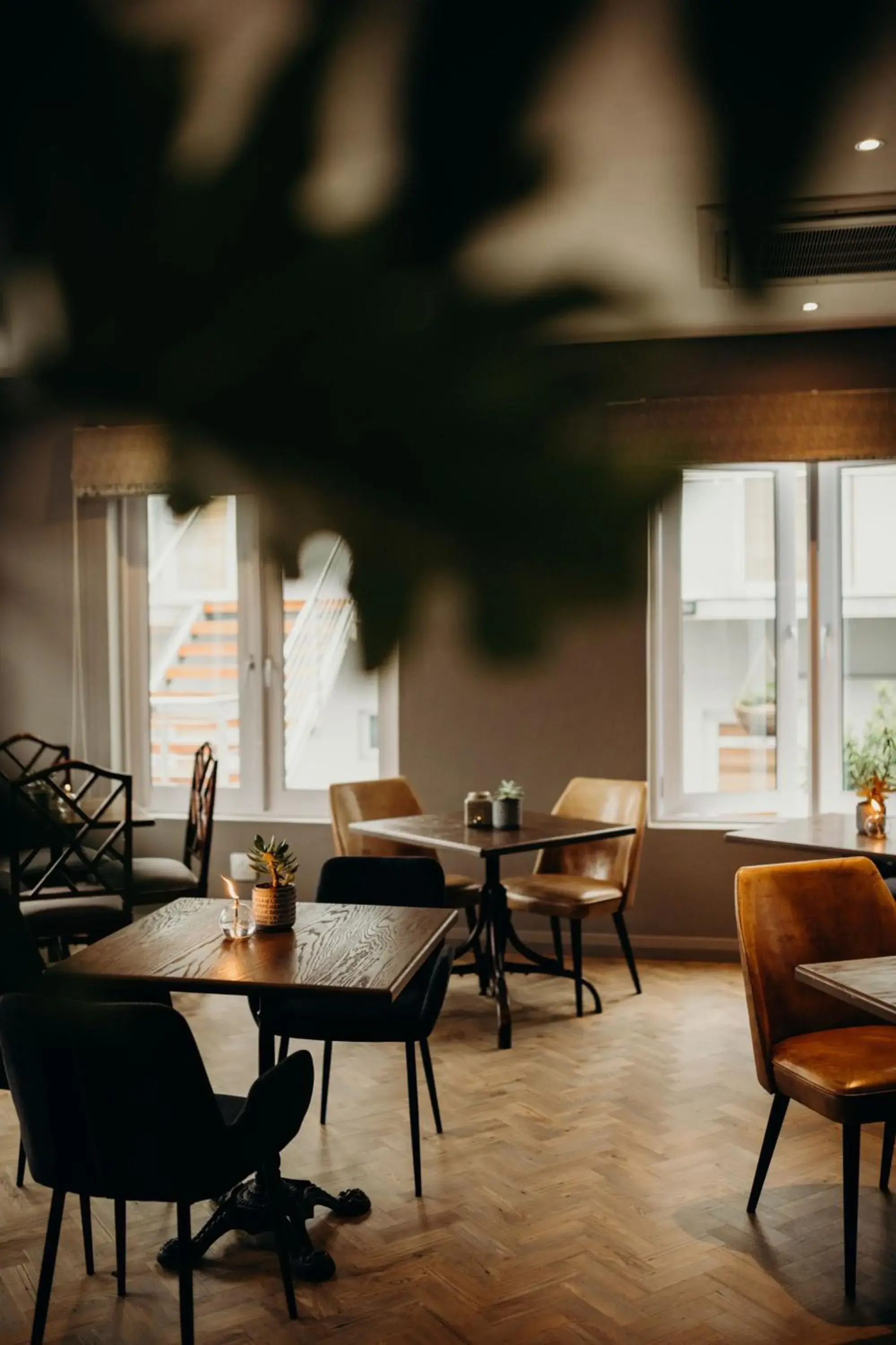 Restaurant/places to eat in Franschhoek Boutique Hotel - Lion Roars Hotels & Lodges Restaurant/places to eat in Franschhoek Boutique Hotel - Lion Roars Hotels & Lodges