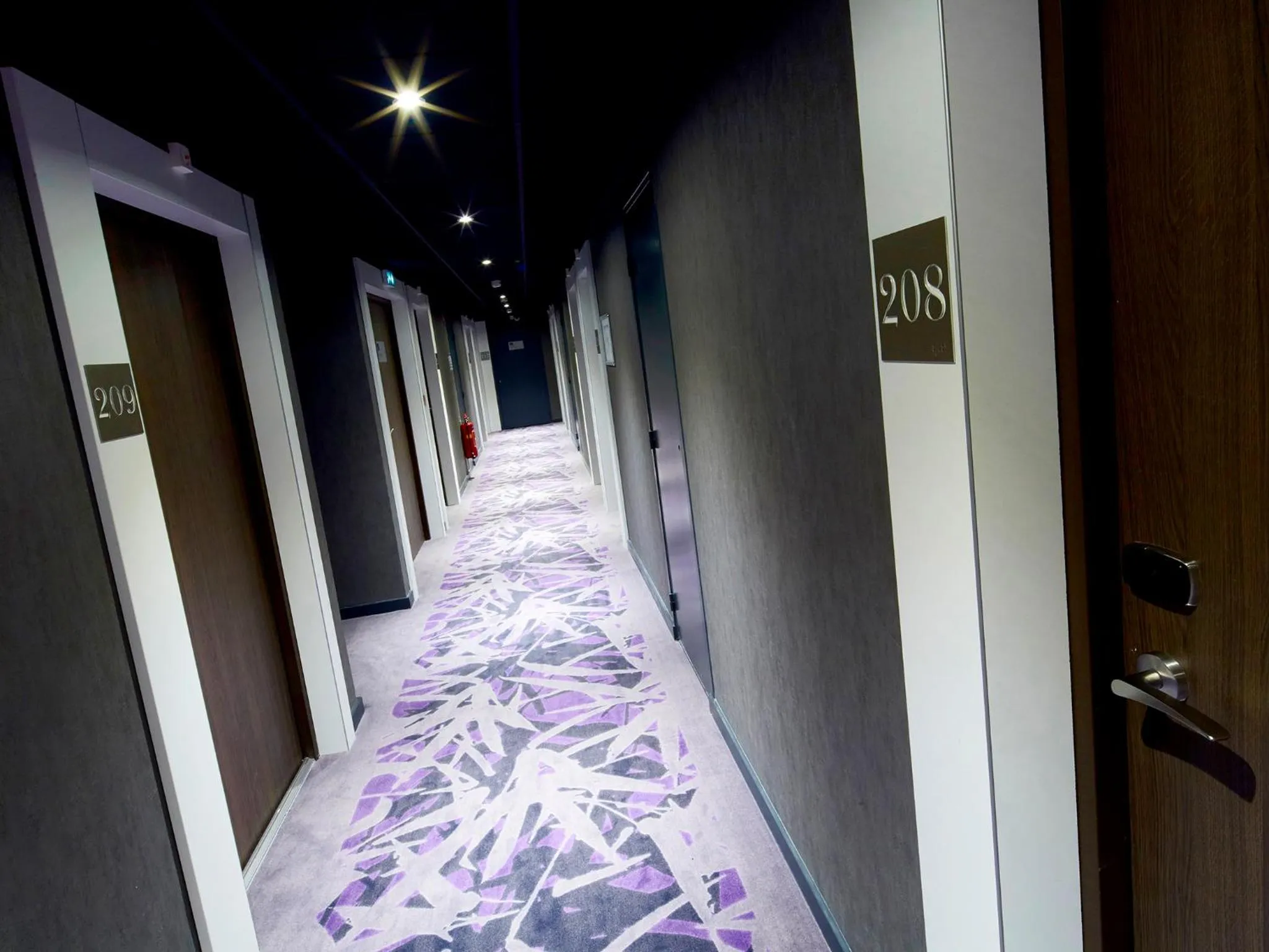 Decorative detail in Kyriad Troyes Centre