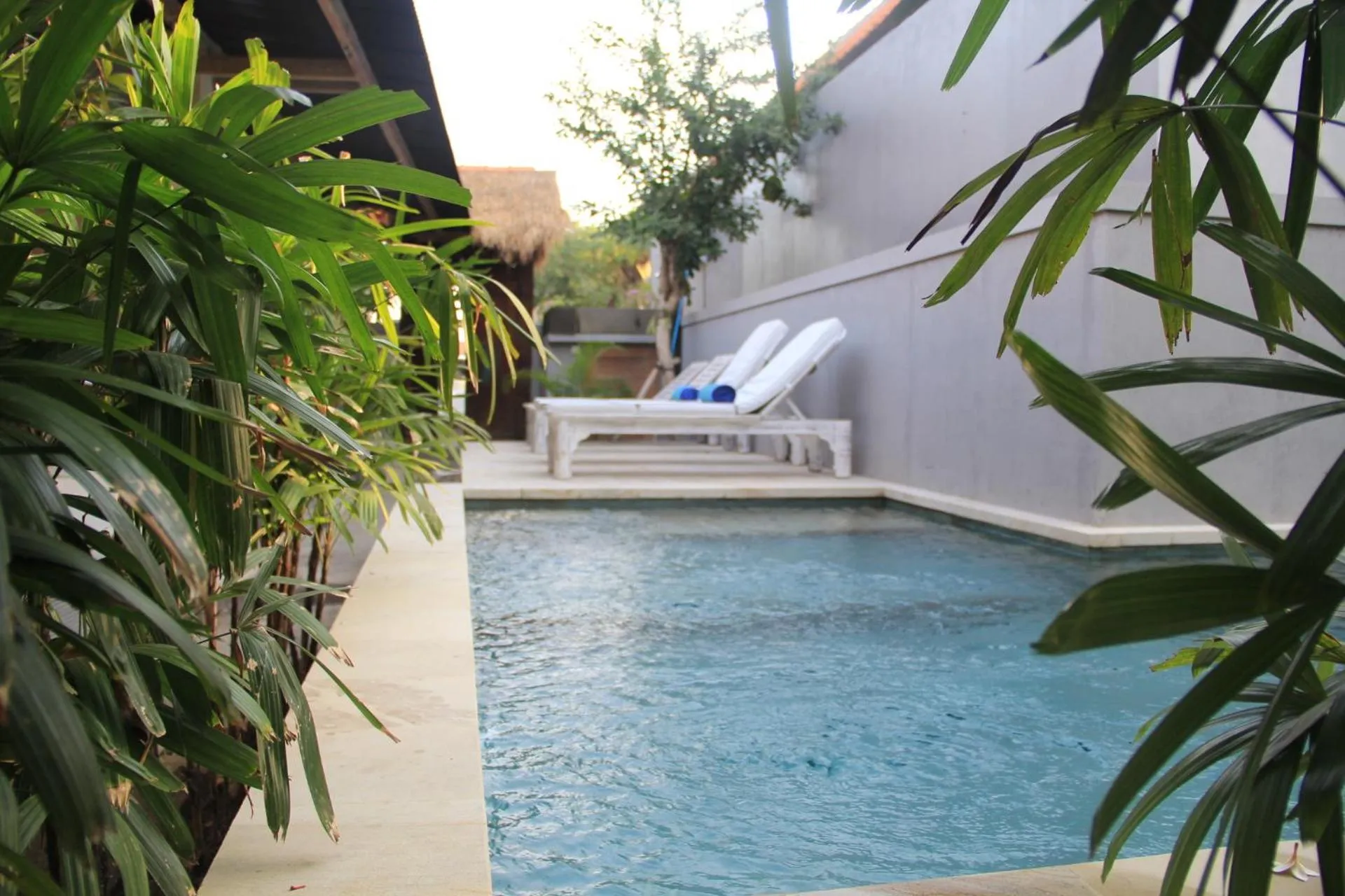 Swimming pool in Sadana Bali Guesthouse