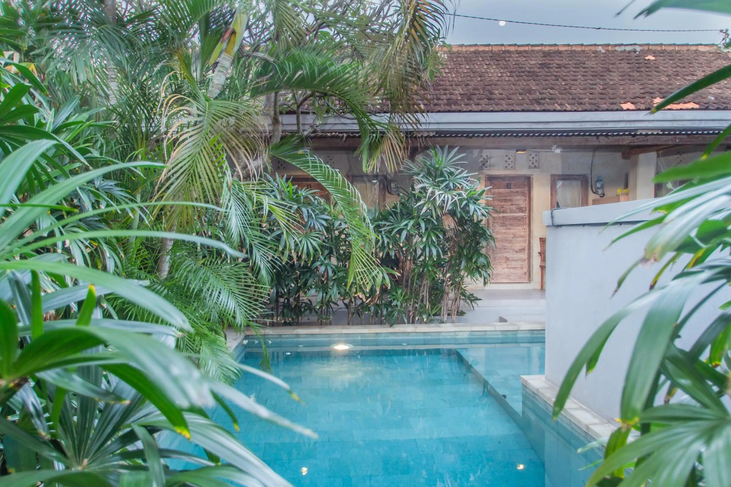 Swimming pool in Sadana Bali Guesthouse
