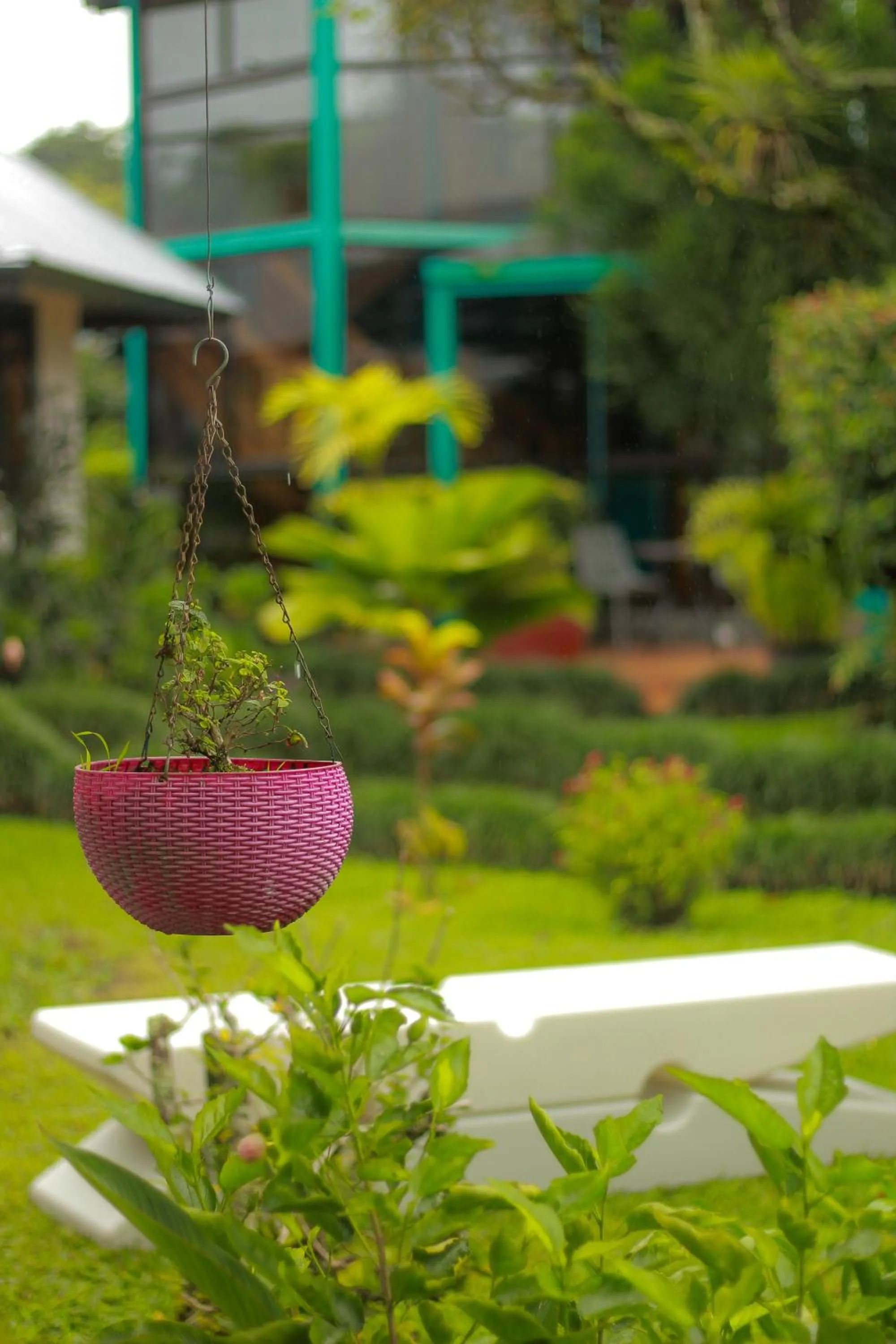 Garden in Hotel Isla Verde