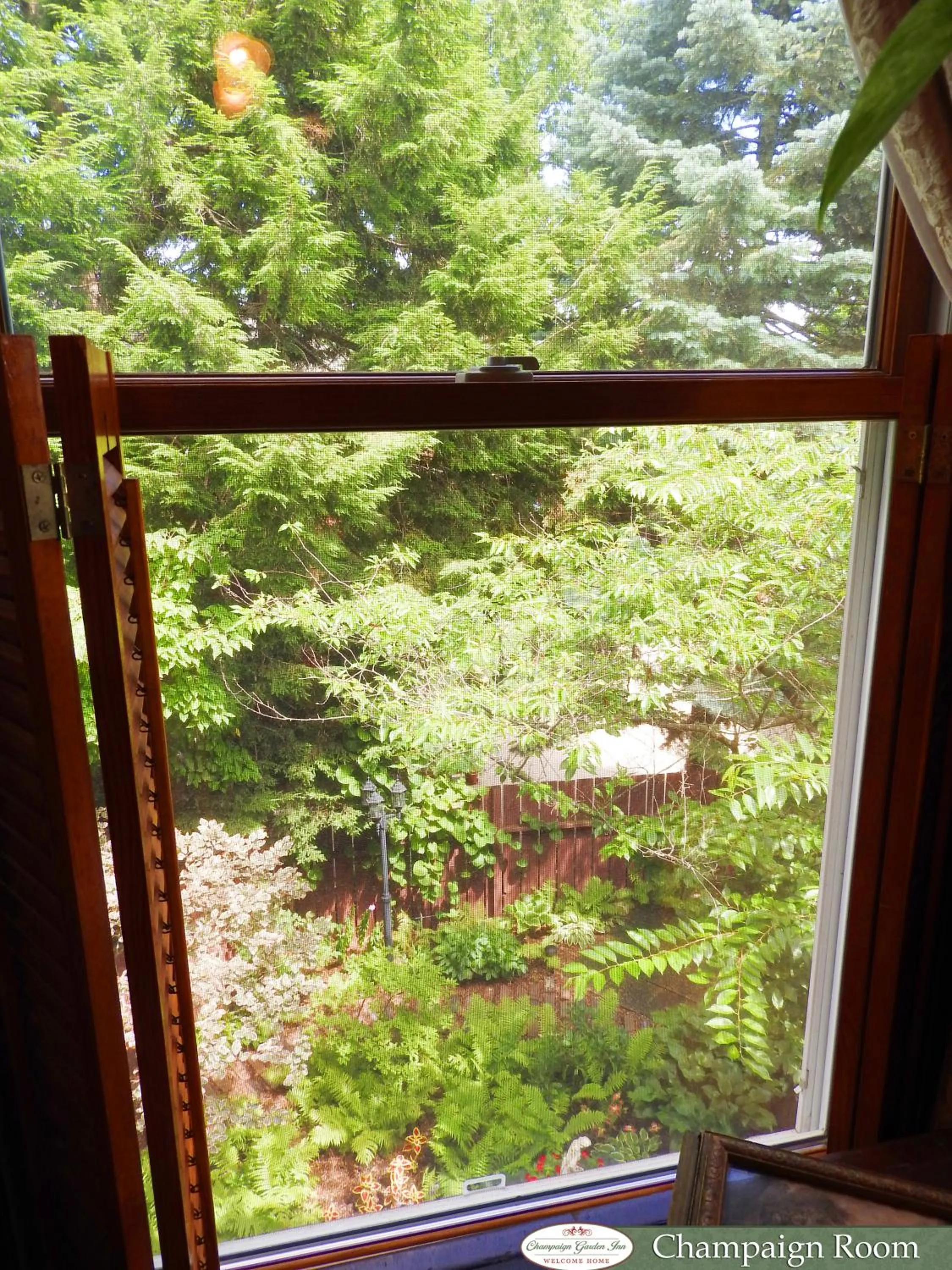 Garden view in Champaign Garden Inn