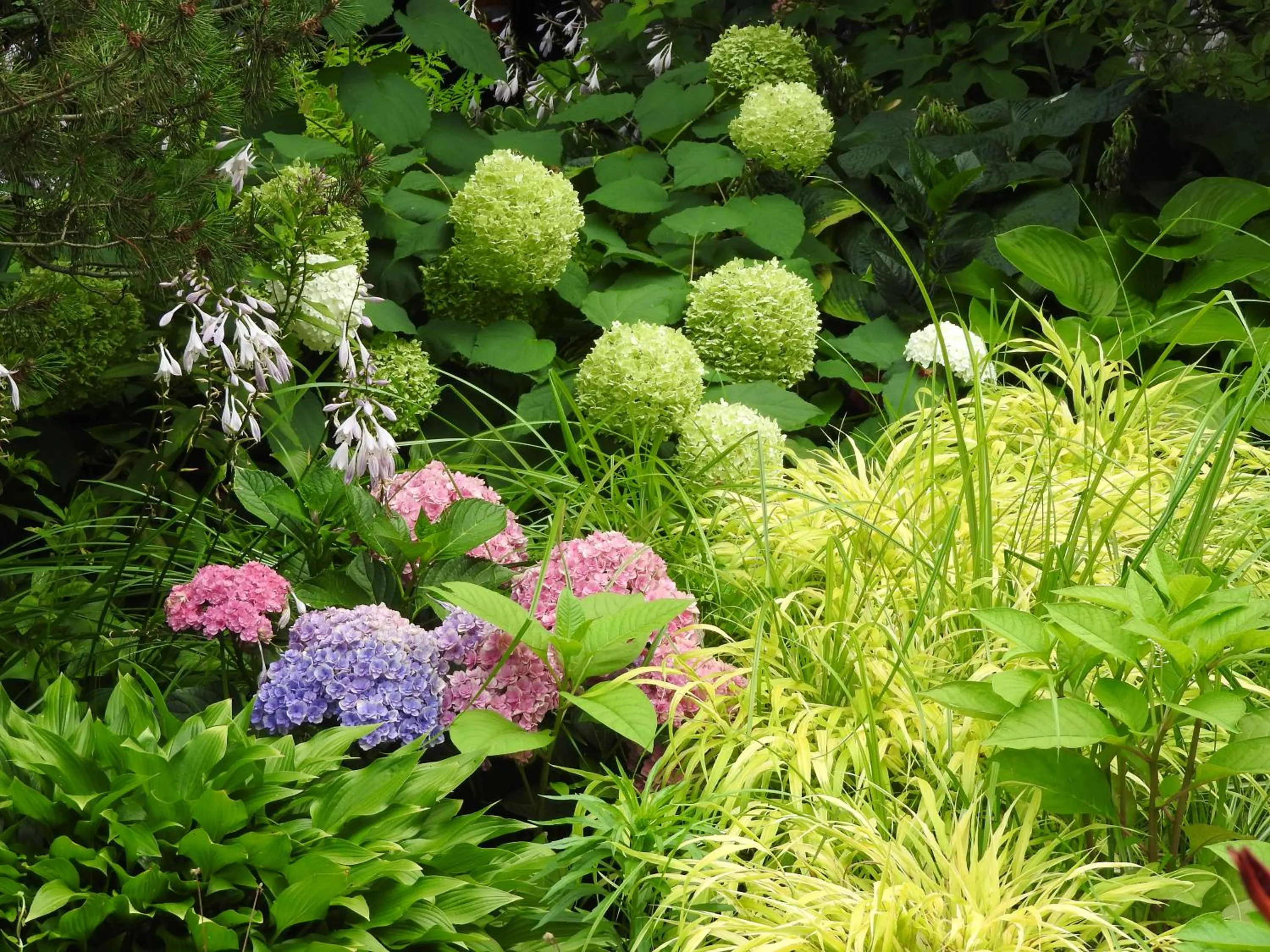 Garden in Champaign Garden Inn