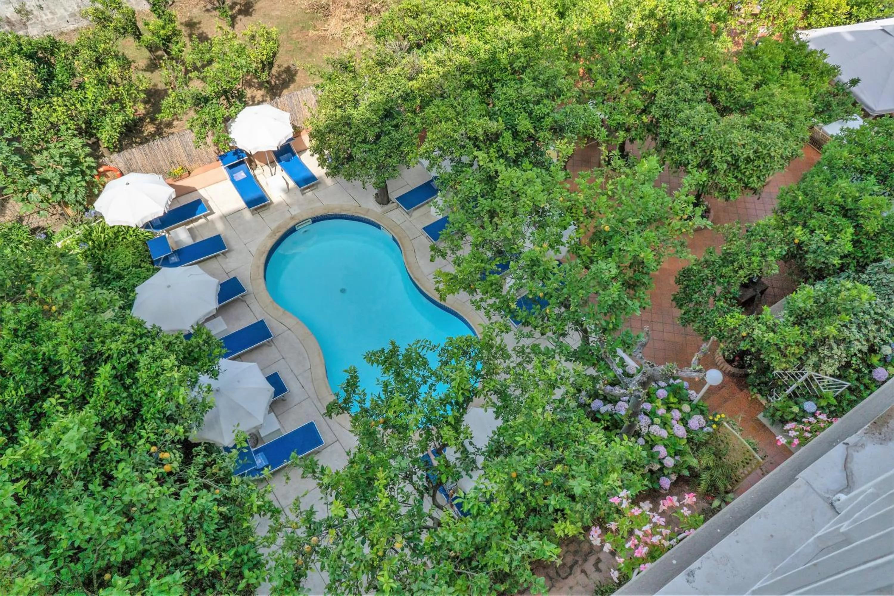 Pool view in Boutique Hotel Regina