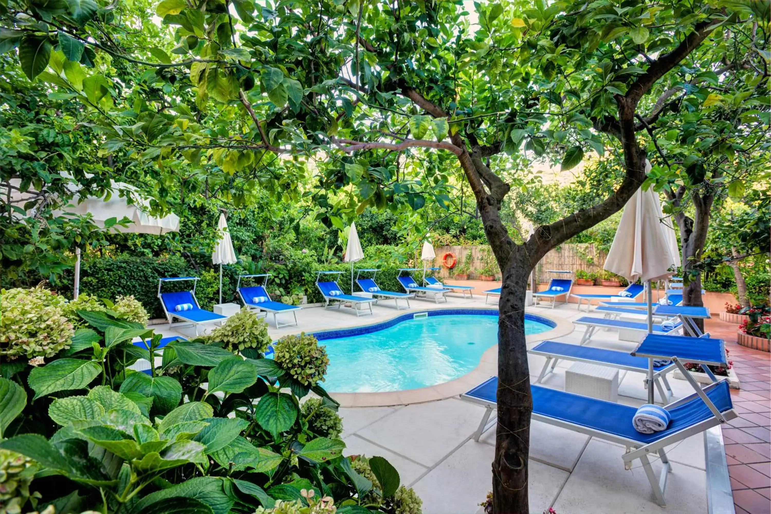 Swimming pool in Boutique Hotel Regina Swimming pool in Boutique Hotel Regina