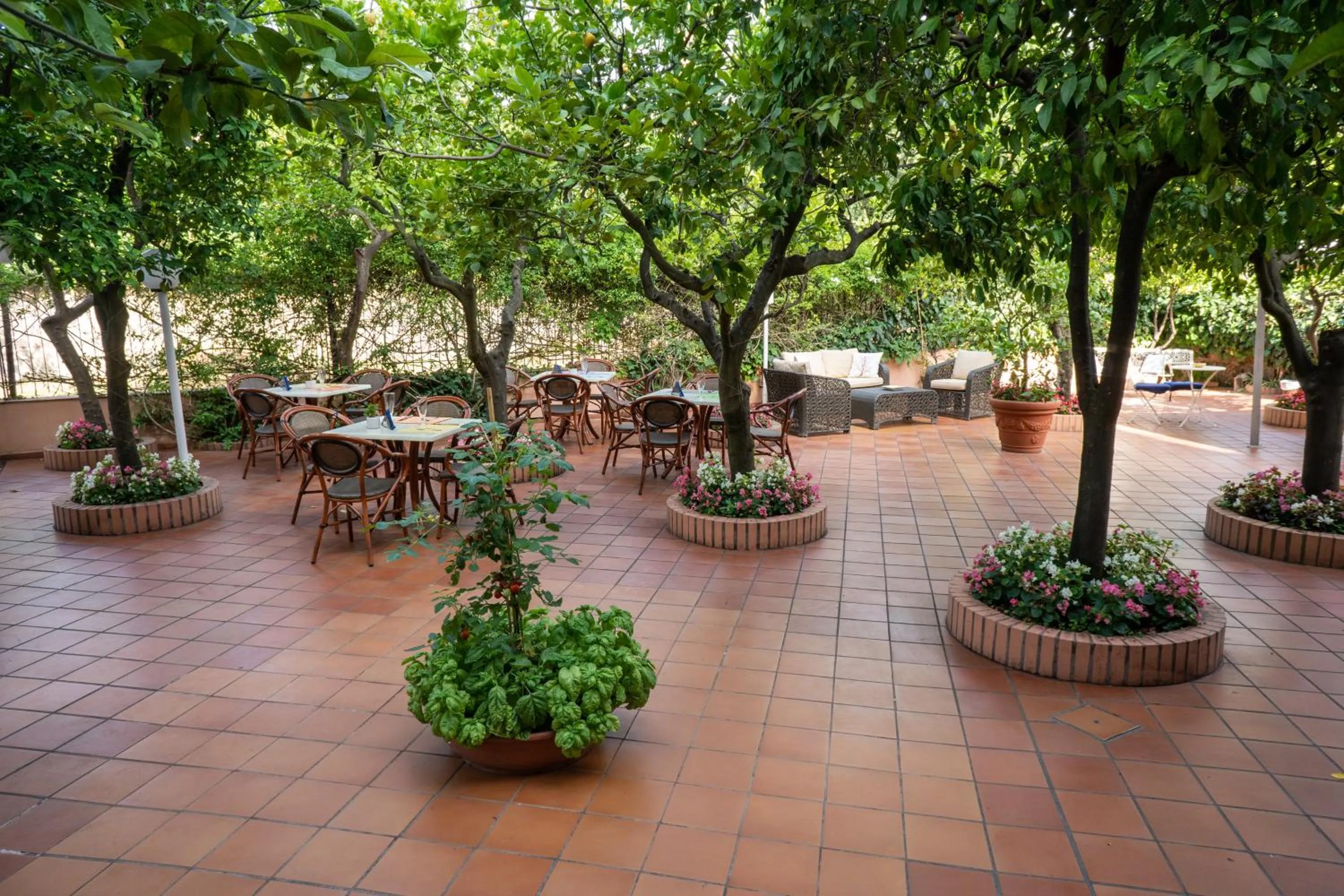 Patio in Boutique Hotel Regina
