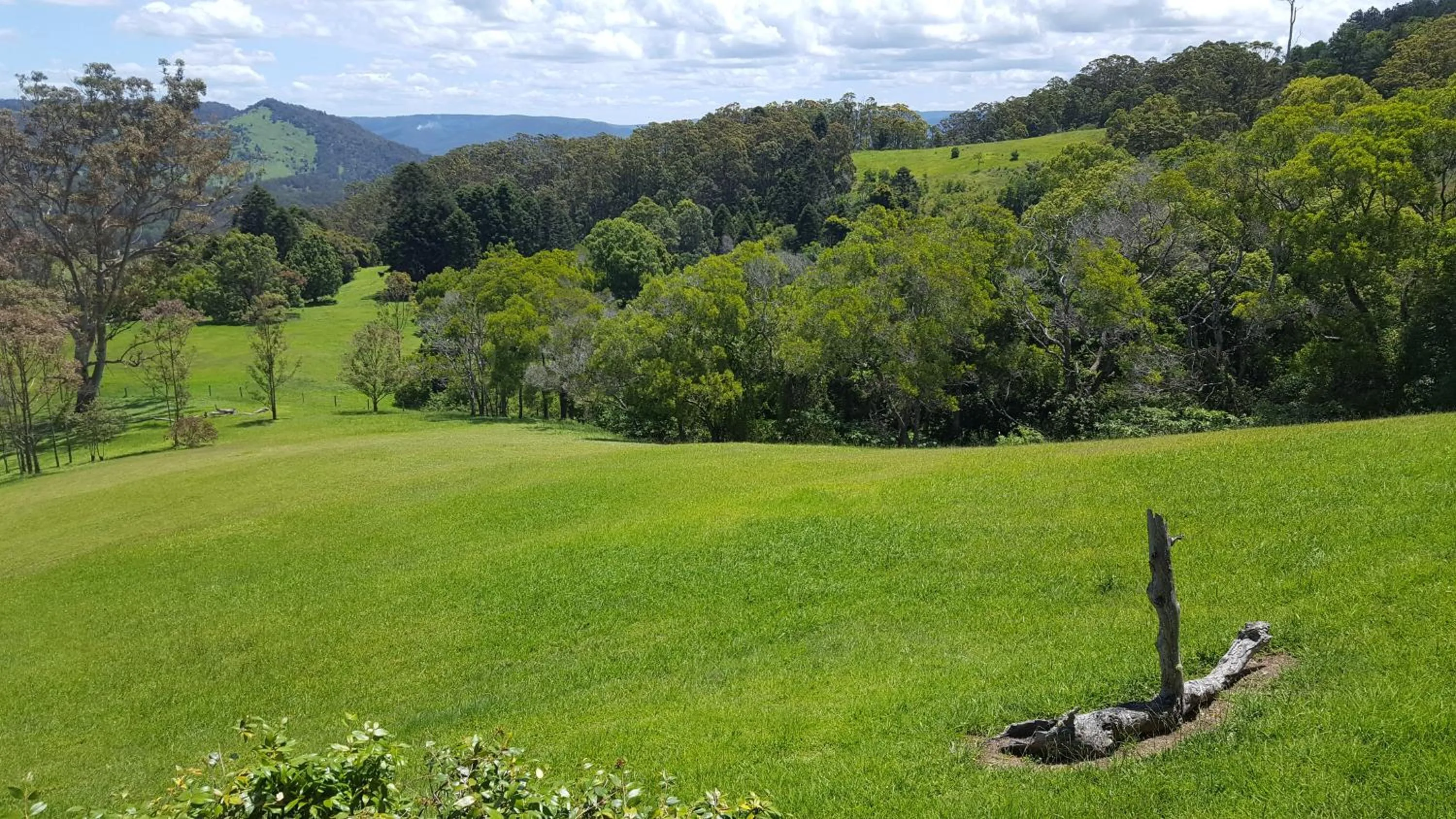 Natural landscape in Blue Summit Cottages
