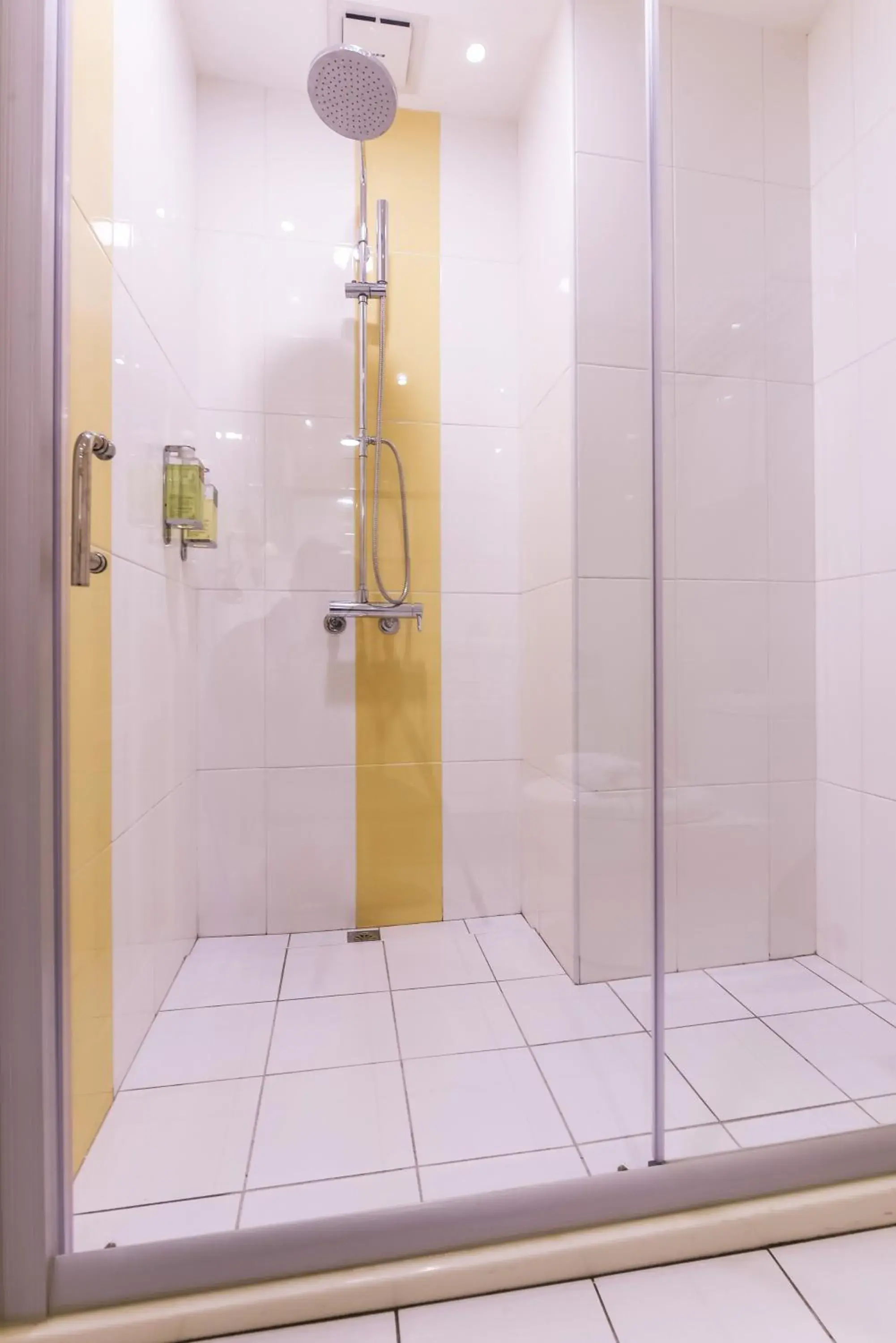 Shower, Bathroom in Lion King Hotel