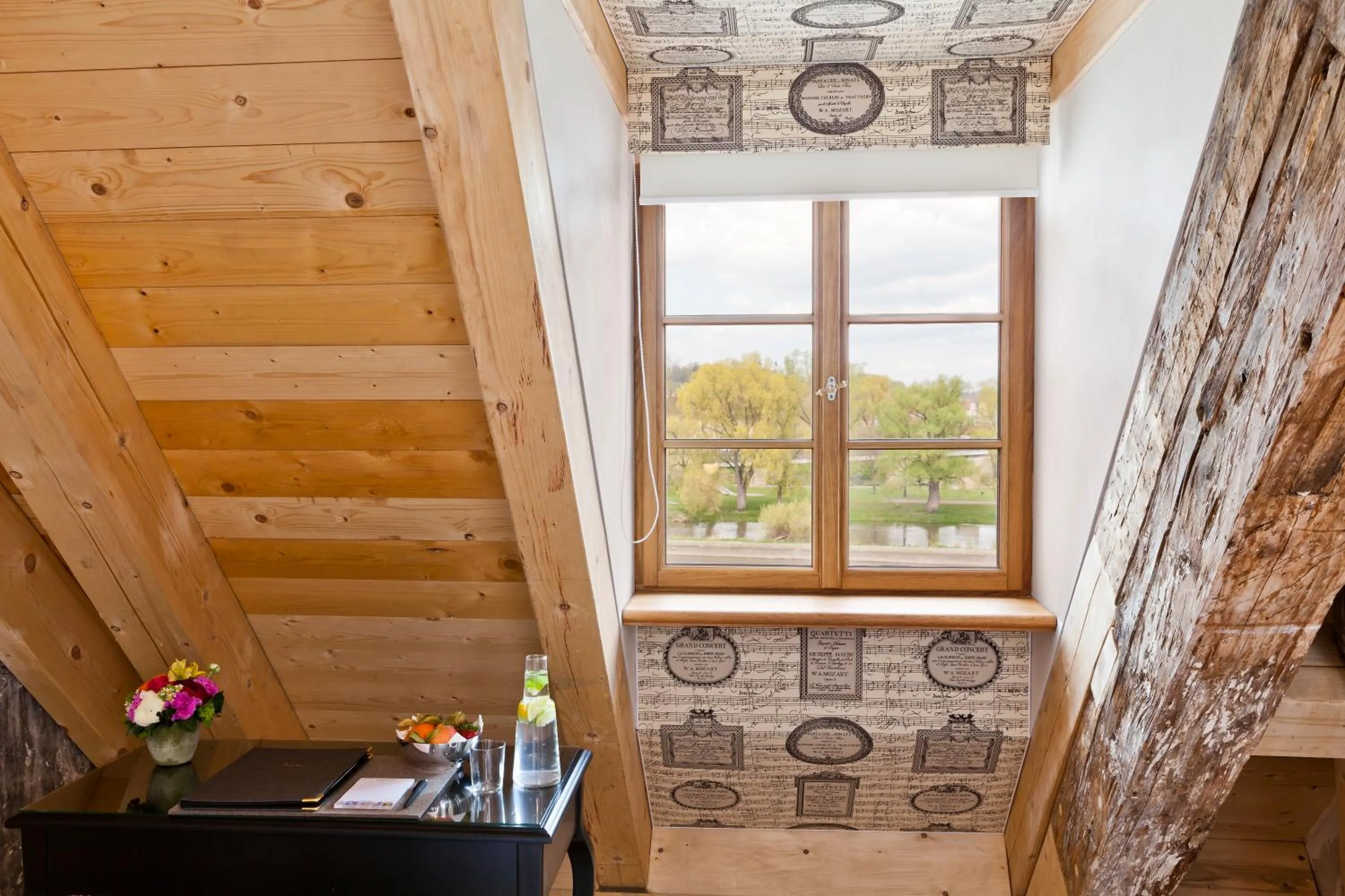 River view in Hotel David an der Donau