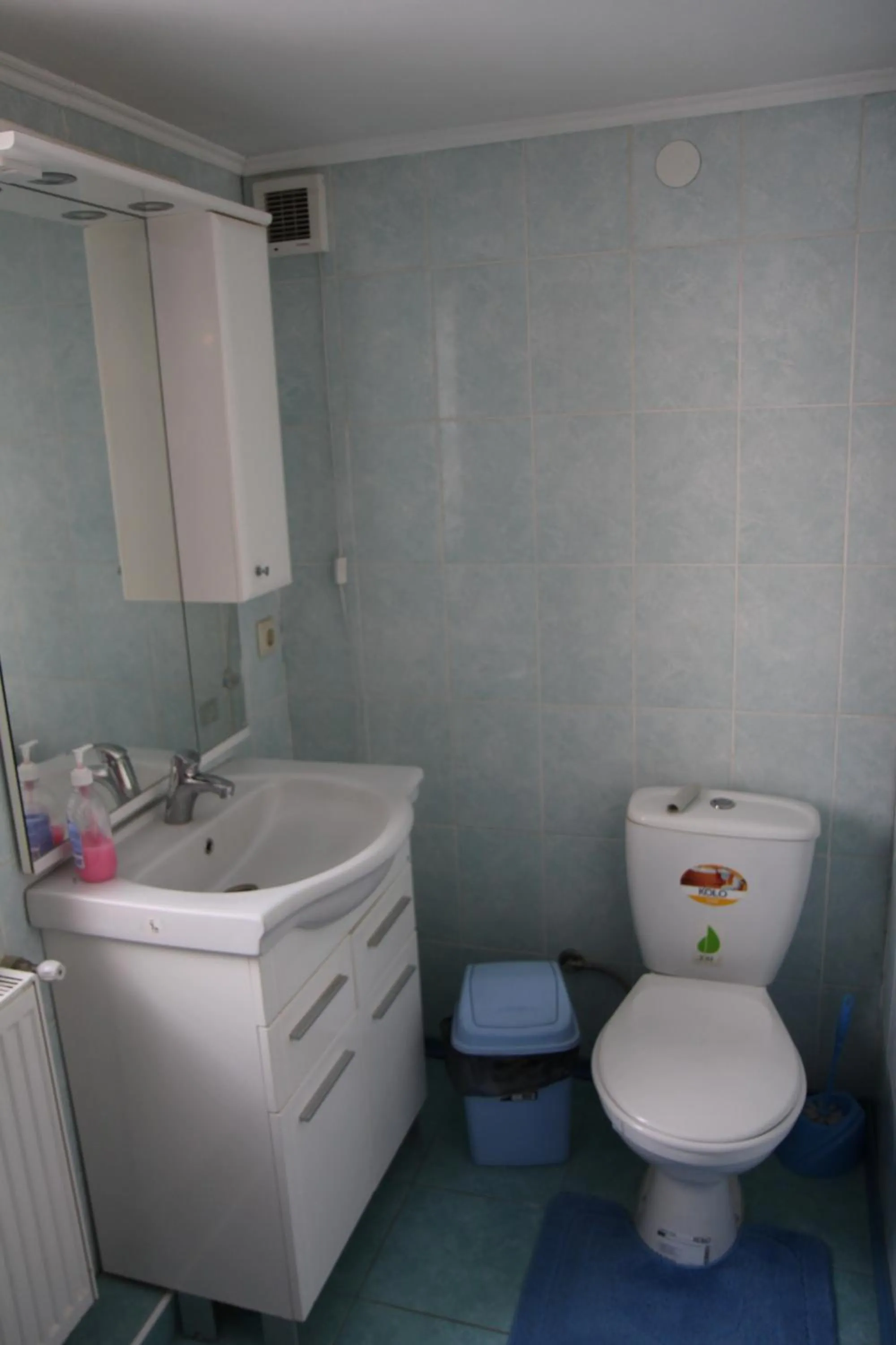 Gutsulochka Apartment
