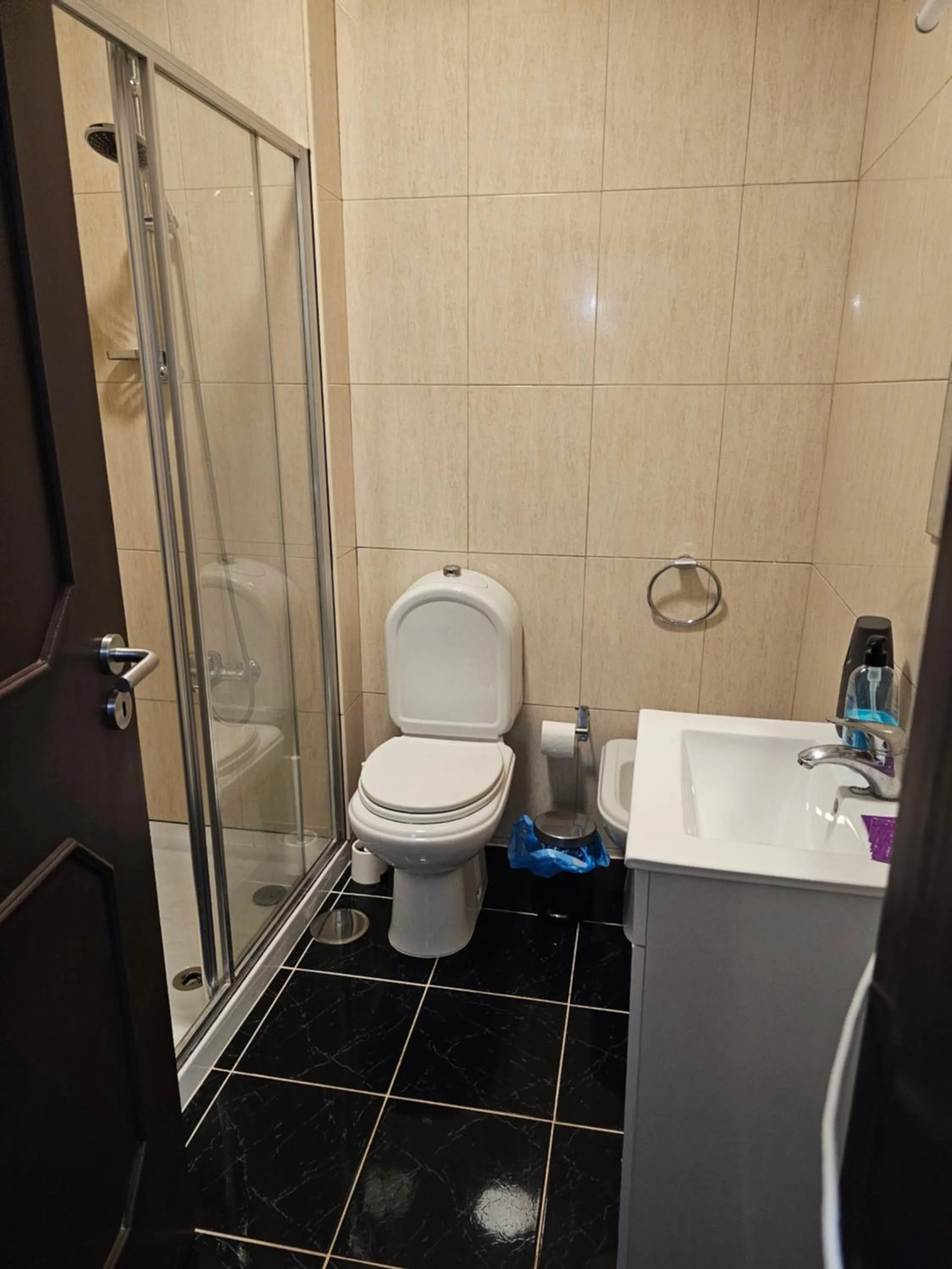 Shower in Reis Apartment