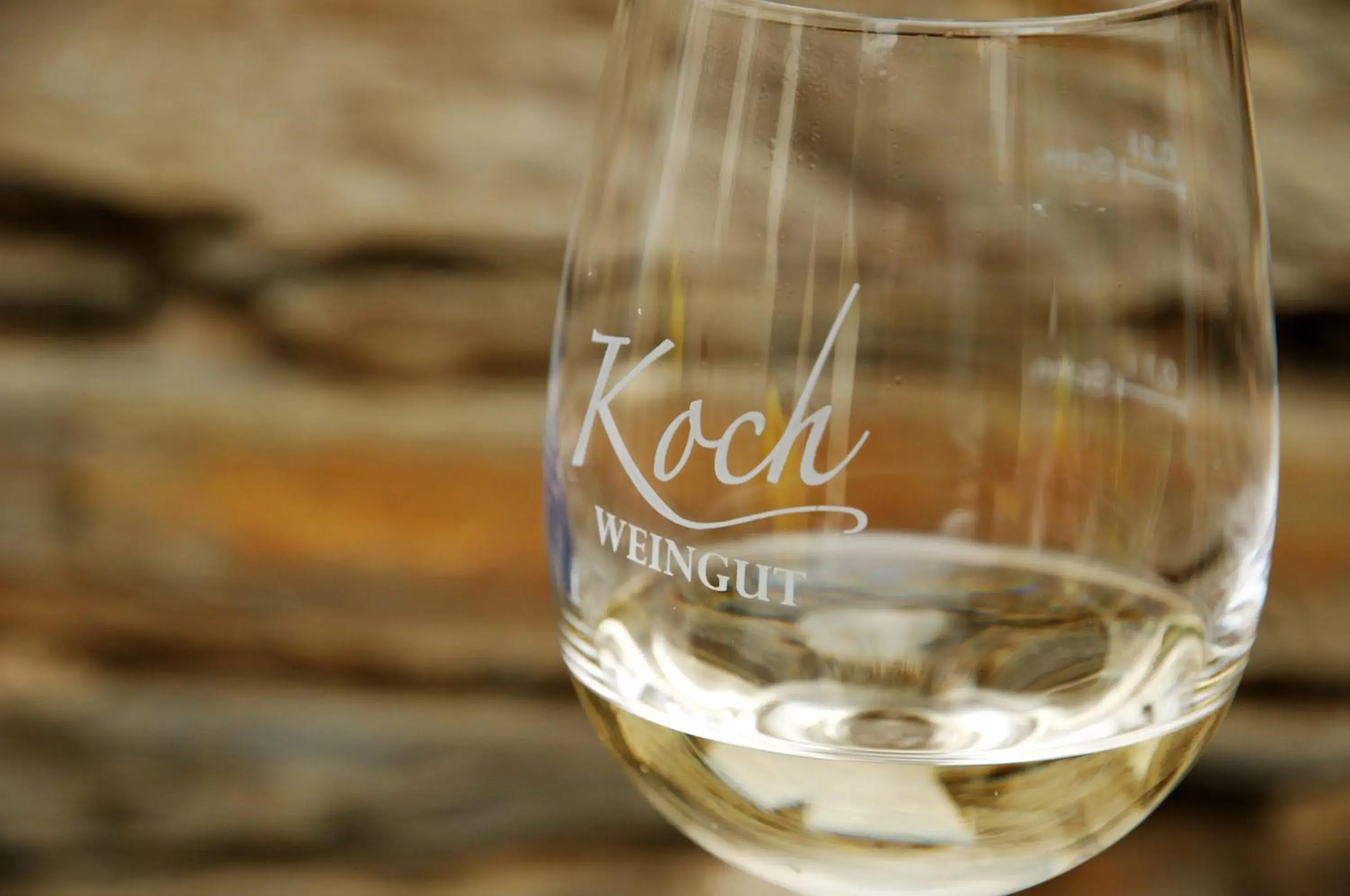 Moselurlaub im Ferienweinhaus Koch Moselurlaub im Ferienweinhaus Koch