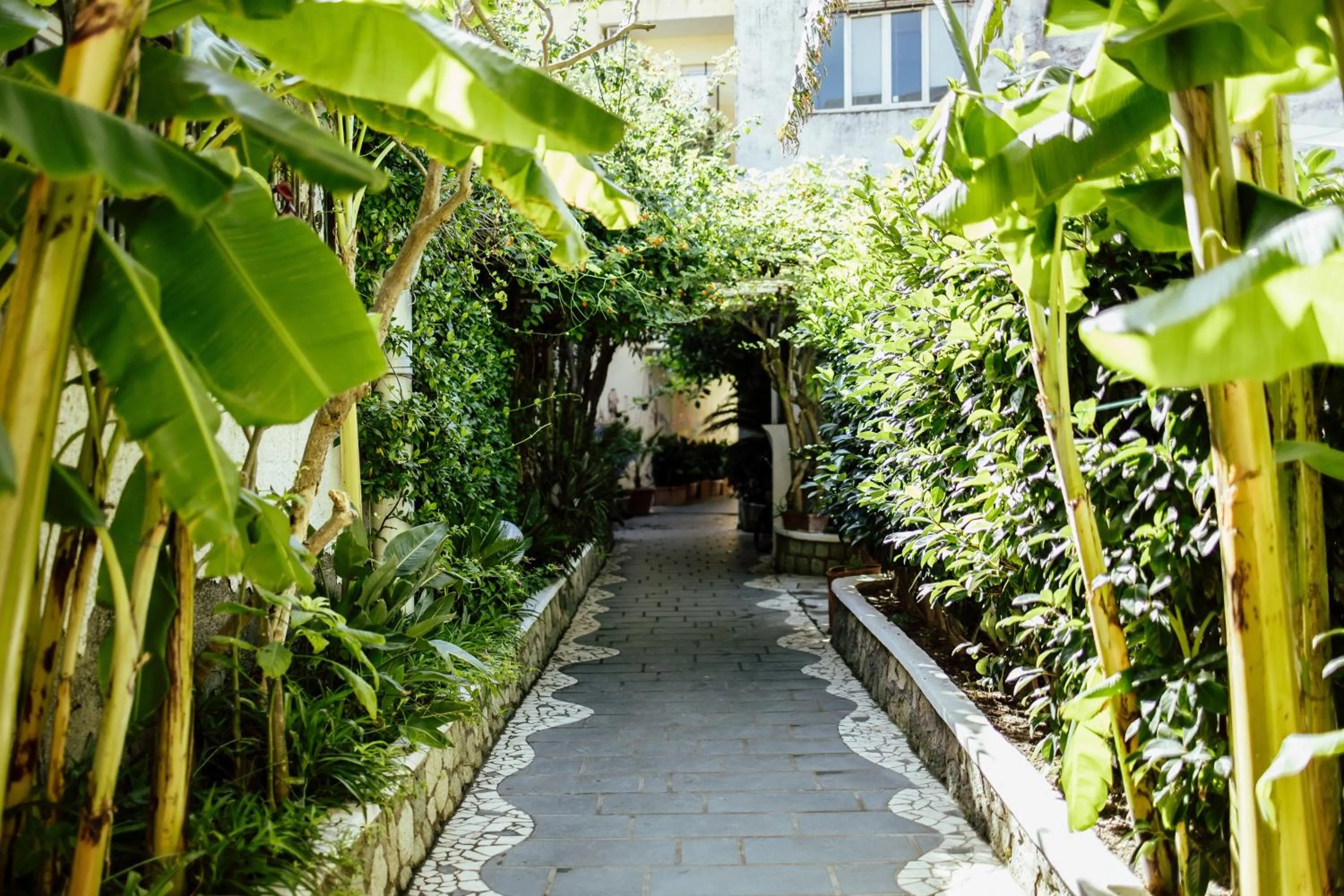 Garden in Hotel Terme Zi Carmela