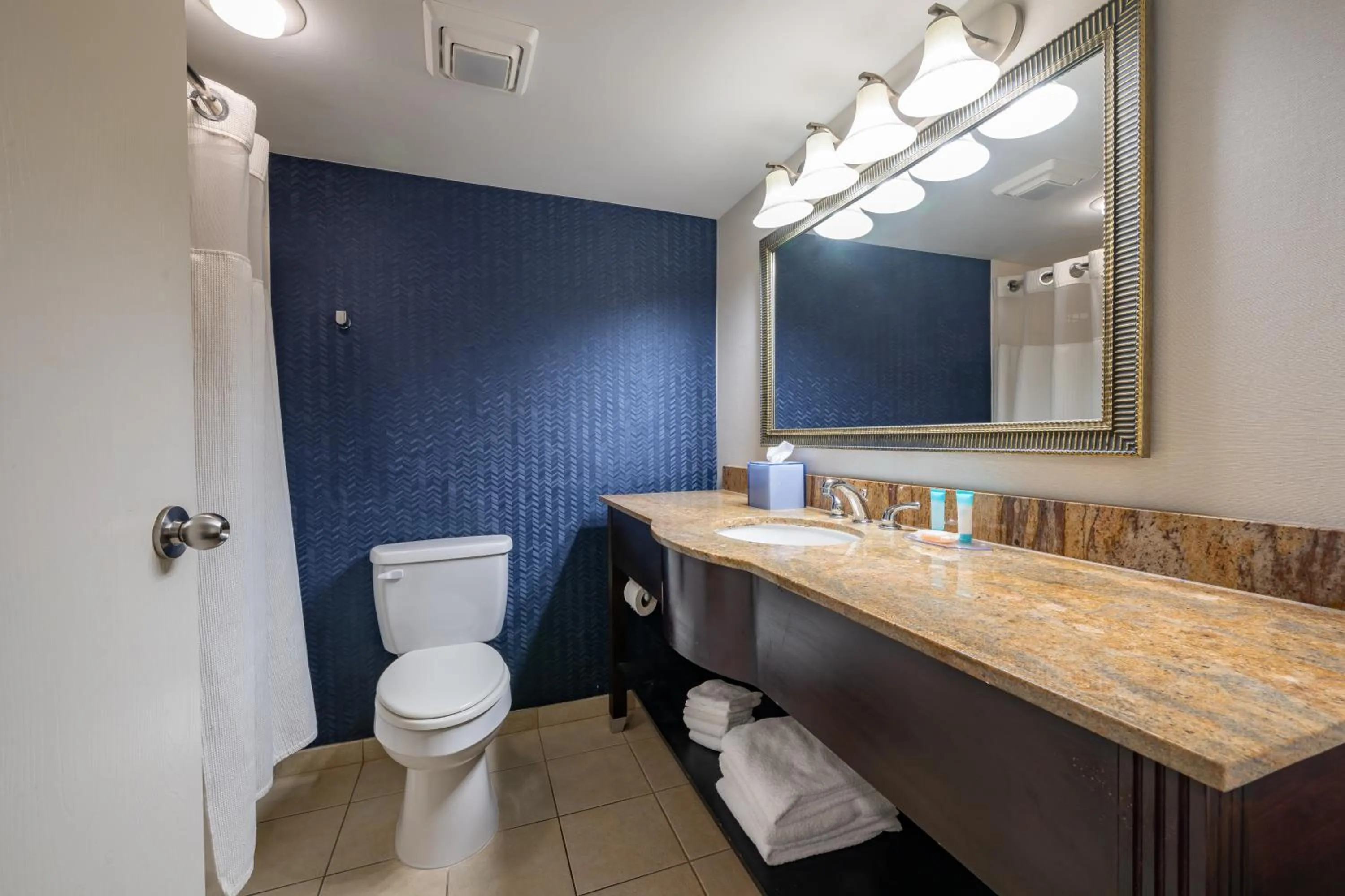 Toilet in SummerPlace Inn