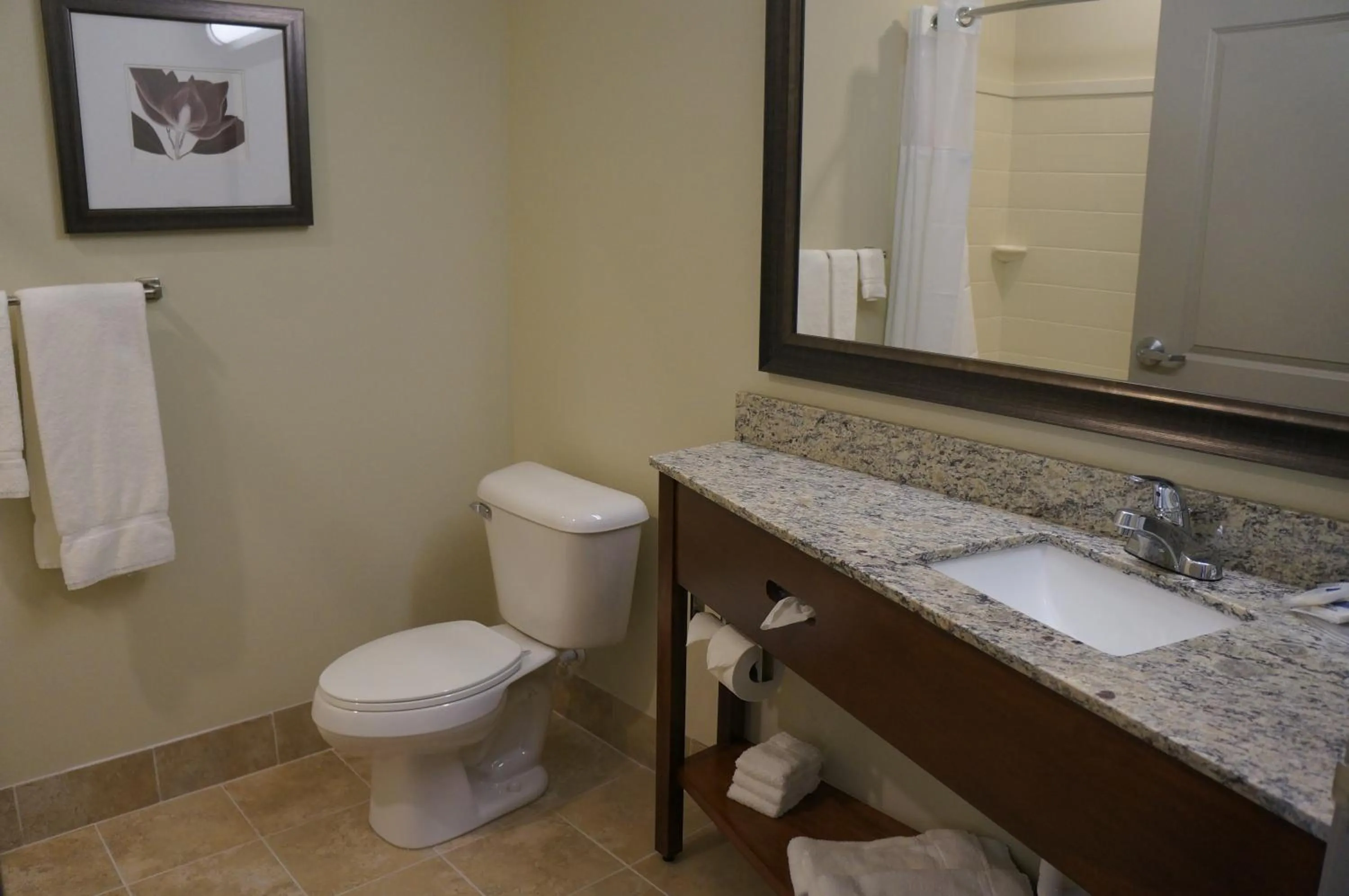 Bathroom in AmericInn by Wyndham Sibley