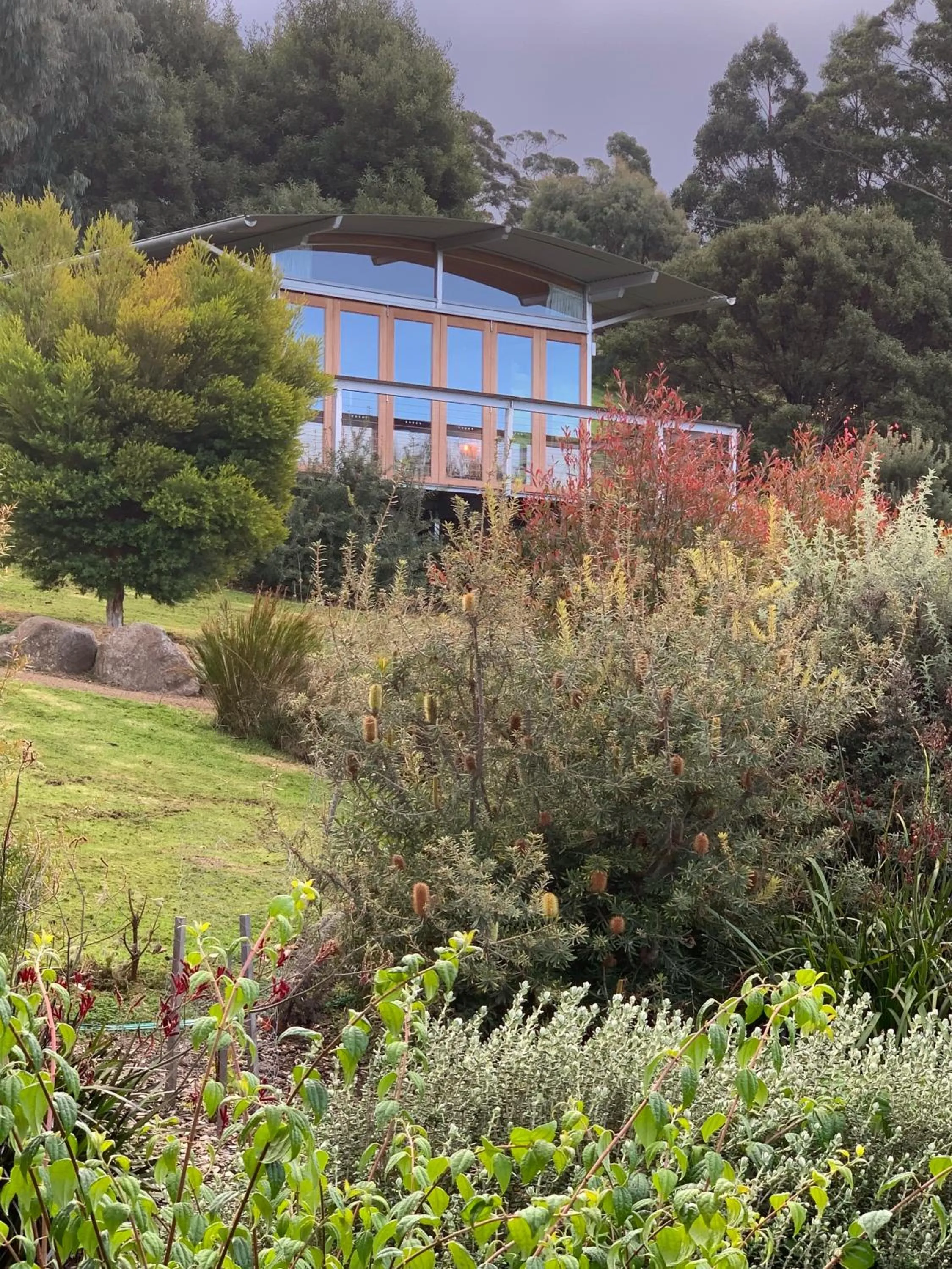 Garden in Hobart Hideaway Pods