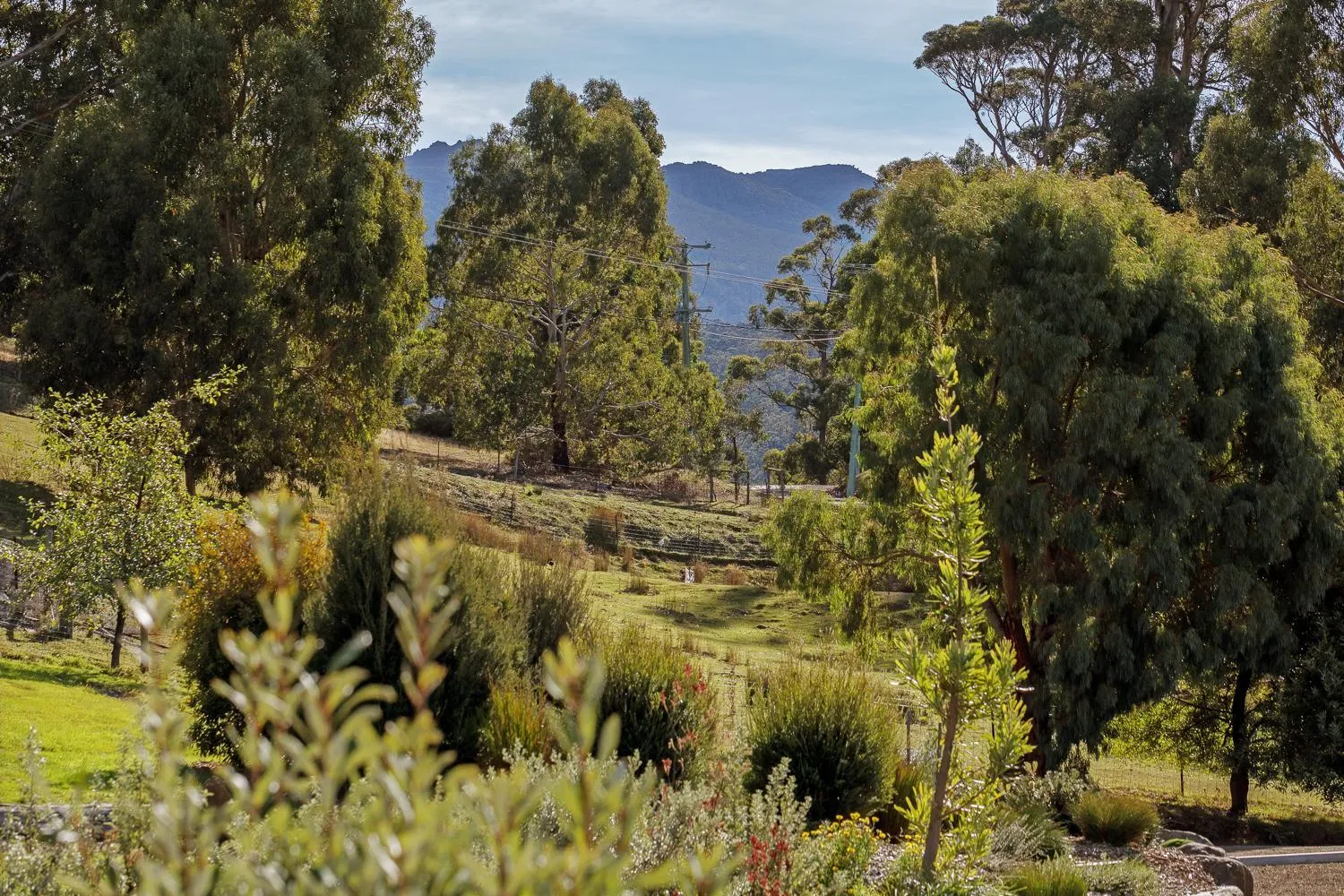 Mountain view in Hobart Hideaway Pods
