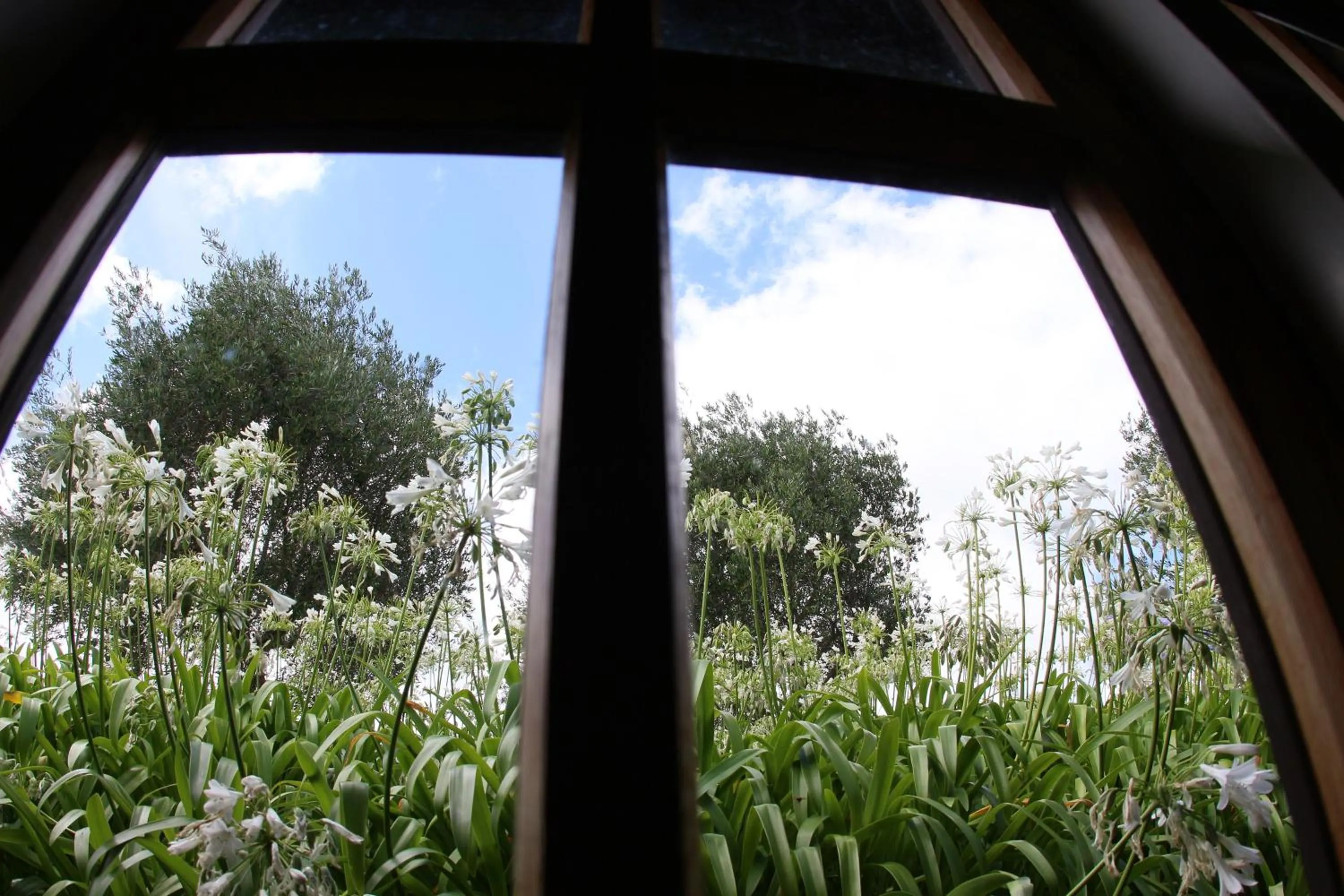 Vineyard Cottages - Kumeu