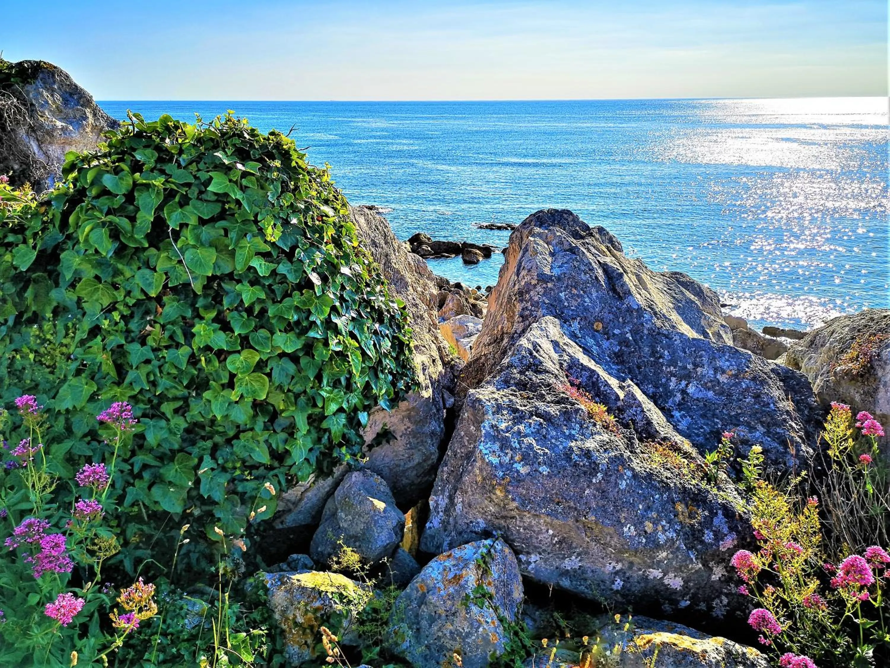 Area and facilities in Heights Hotel