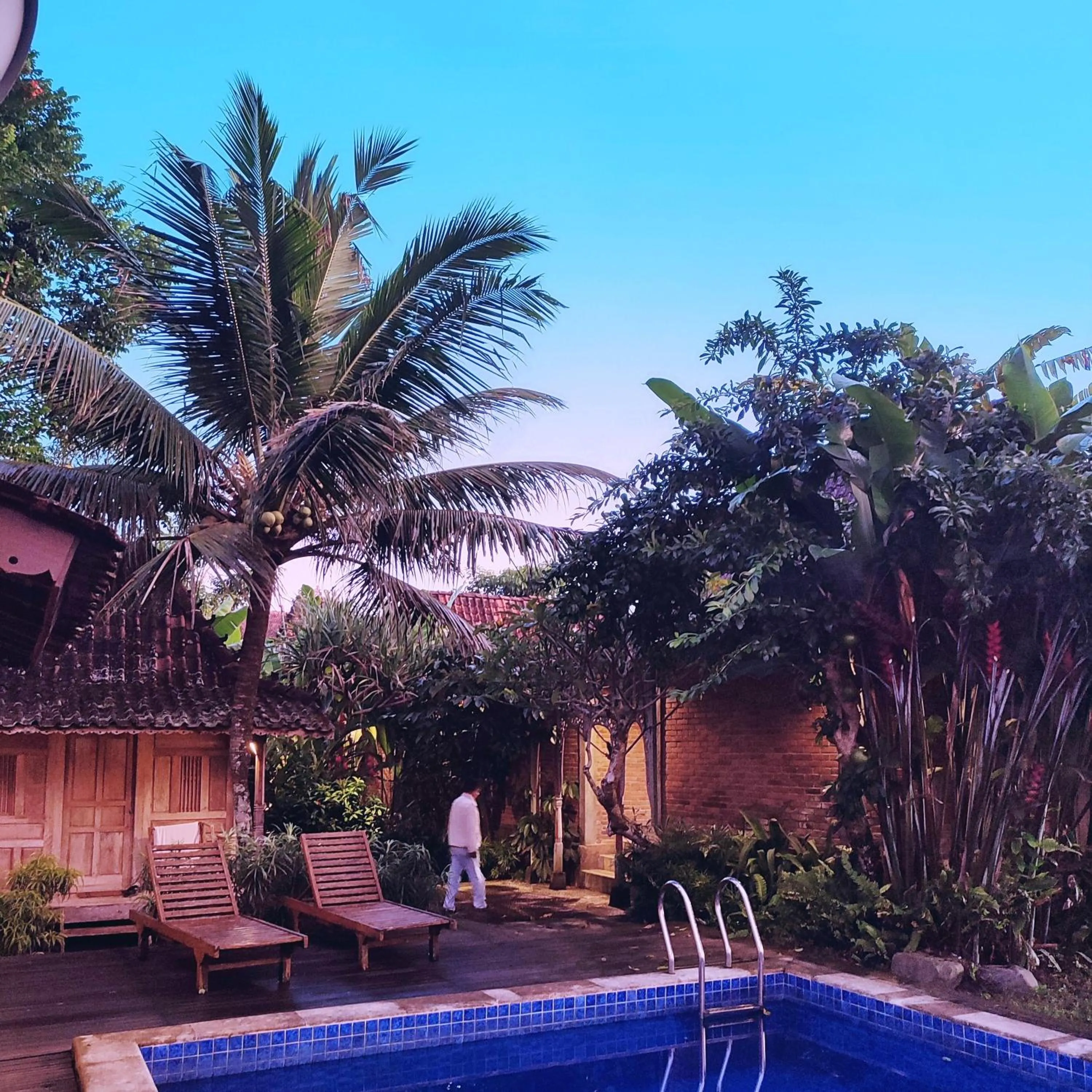 Swimming pool in The Amrta Borobudur