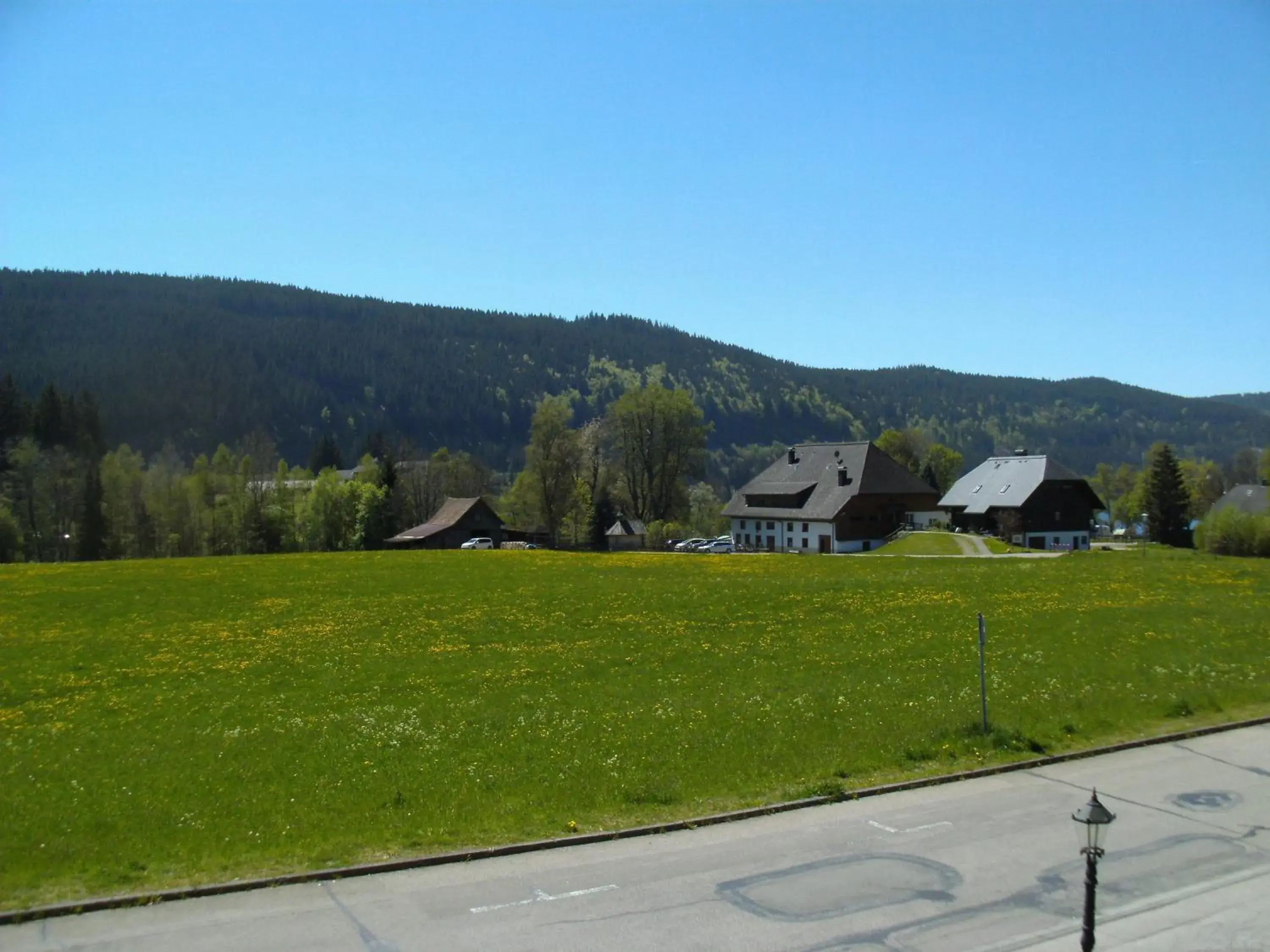 Hotel Rheingold Garni Hotel Rheingold Garni