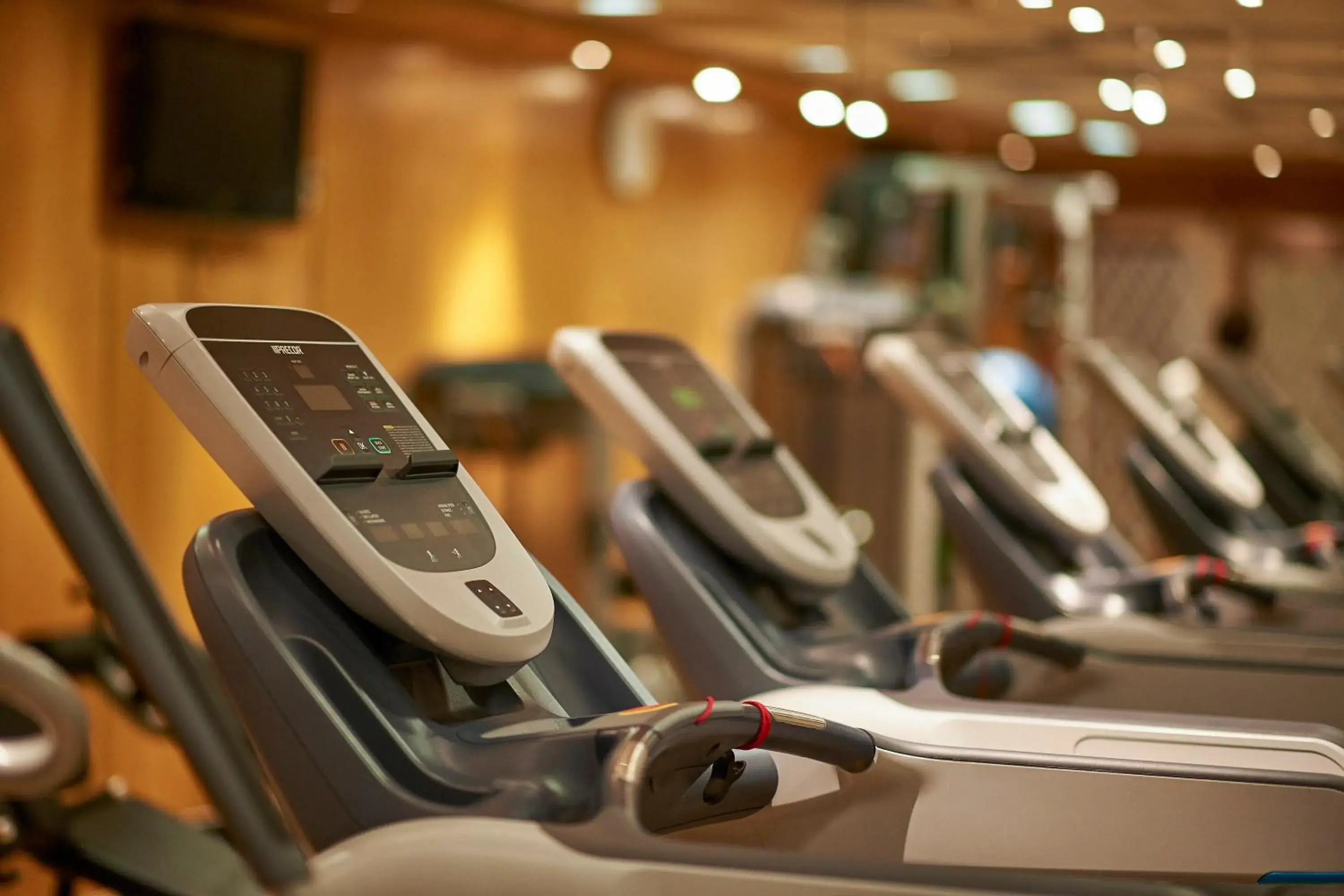 Fitness centre/facilities in Safir Hotel Cairo Fitness centre/facilities in Safir Hotel Cairo