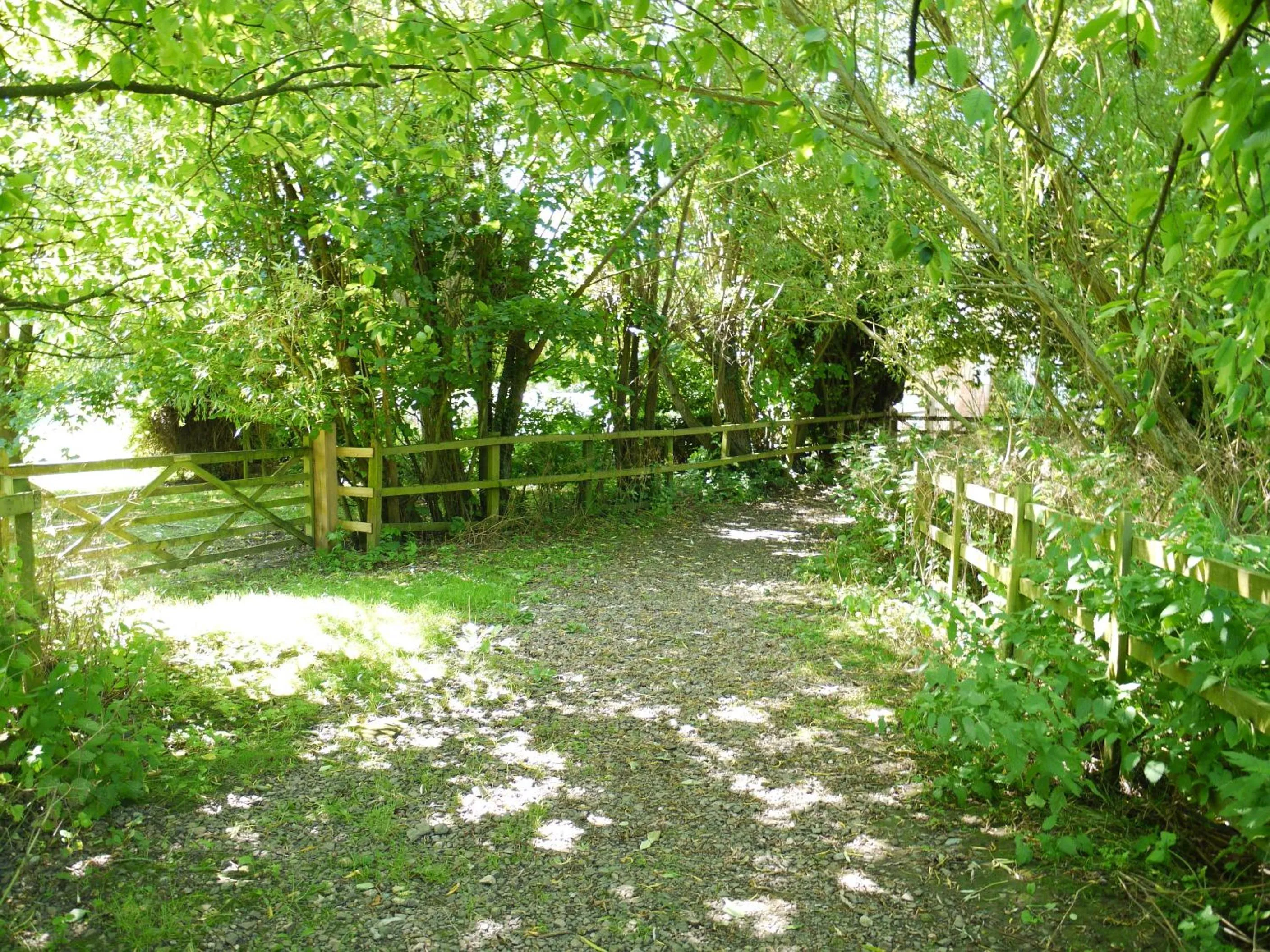 Area and facilities in The New Inn Hotel