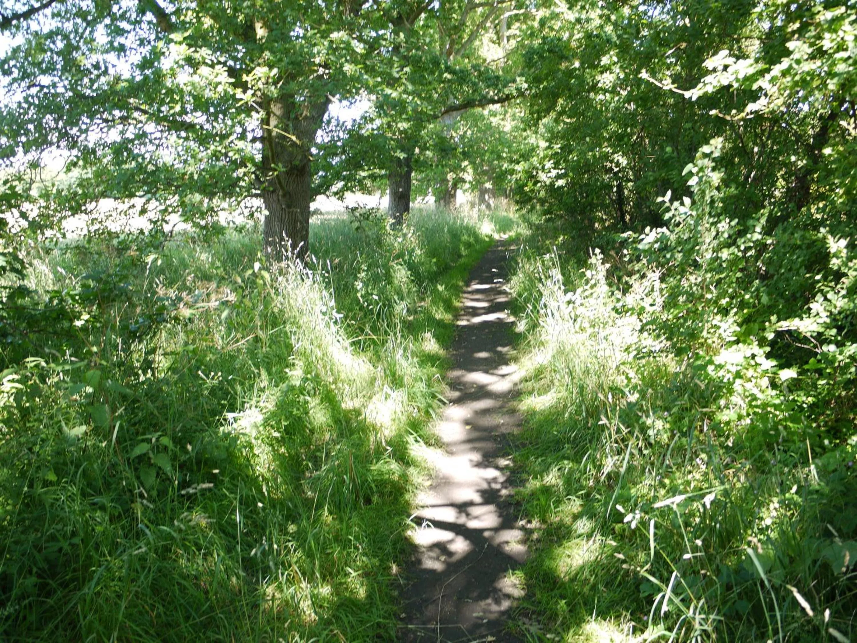 Area and facilities in The New Inn Hotel