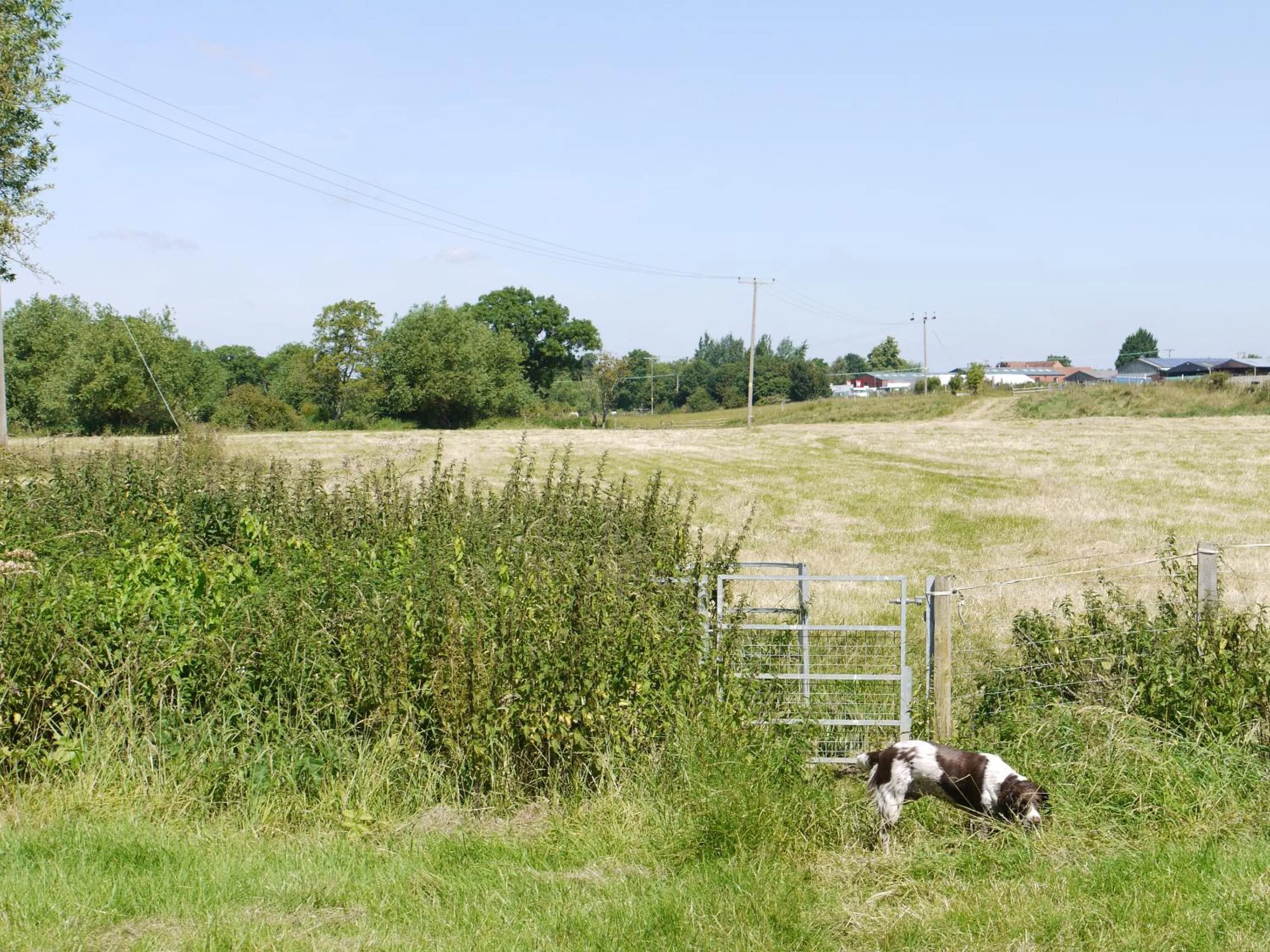 Area and facilities in The New Inn Hotel