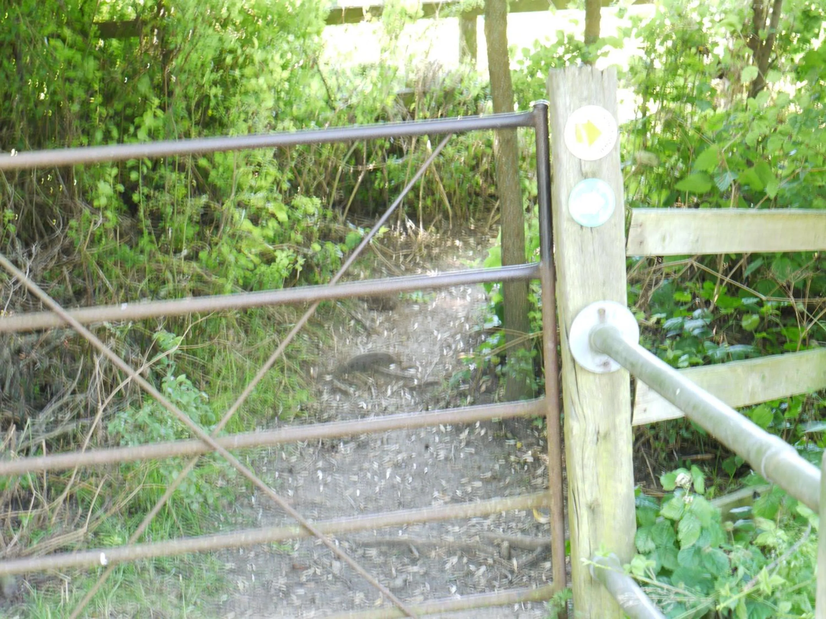 Area and facilities in The New Inn Hotel