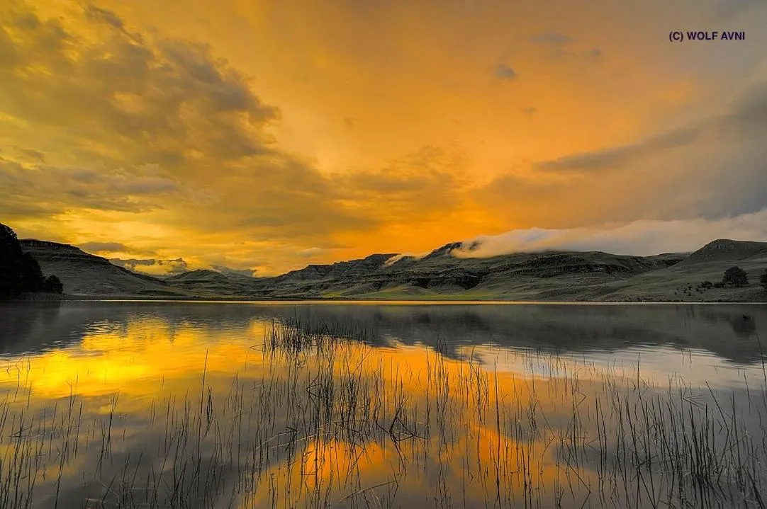 Giantscup Wilderness Reserve