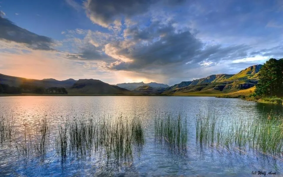 Giantscup Wilderness Reserve