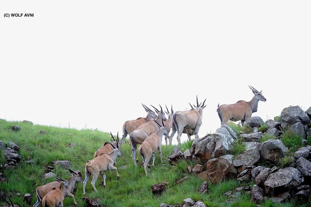 Giantscup Wilderness Reserve