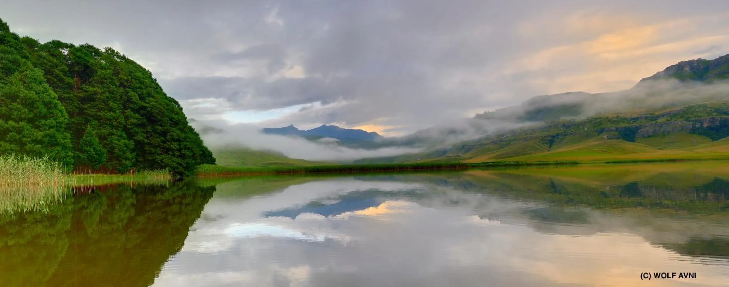 Natural landscape in Giantscup Wilderness Reserve