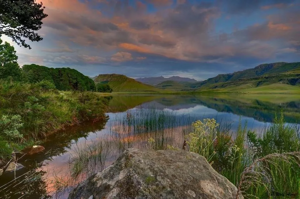 Giantscup Wilderness Reserve