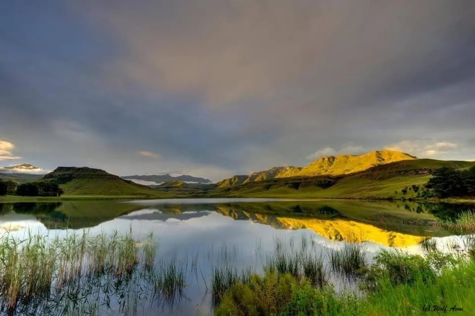 Giantscup Wilderness Reserve