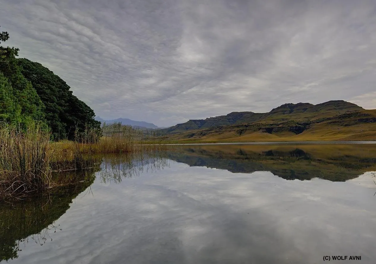 Giantscup Wilderness Reserve