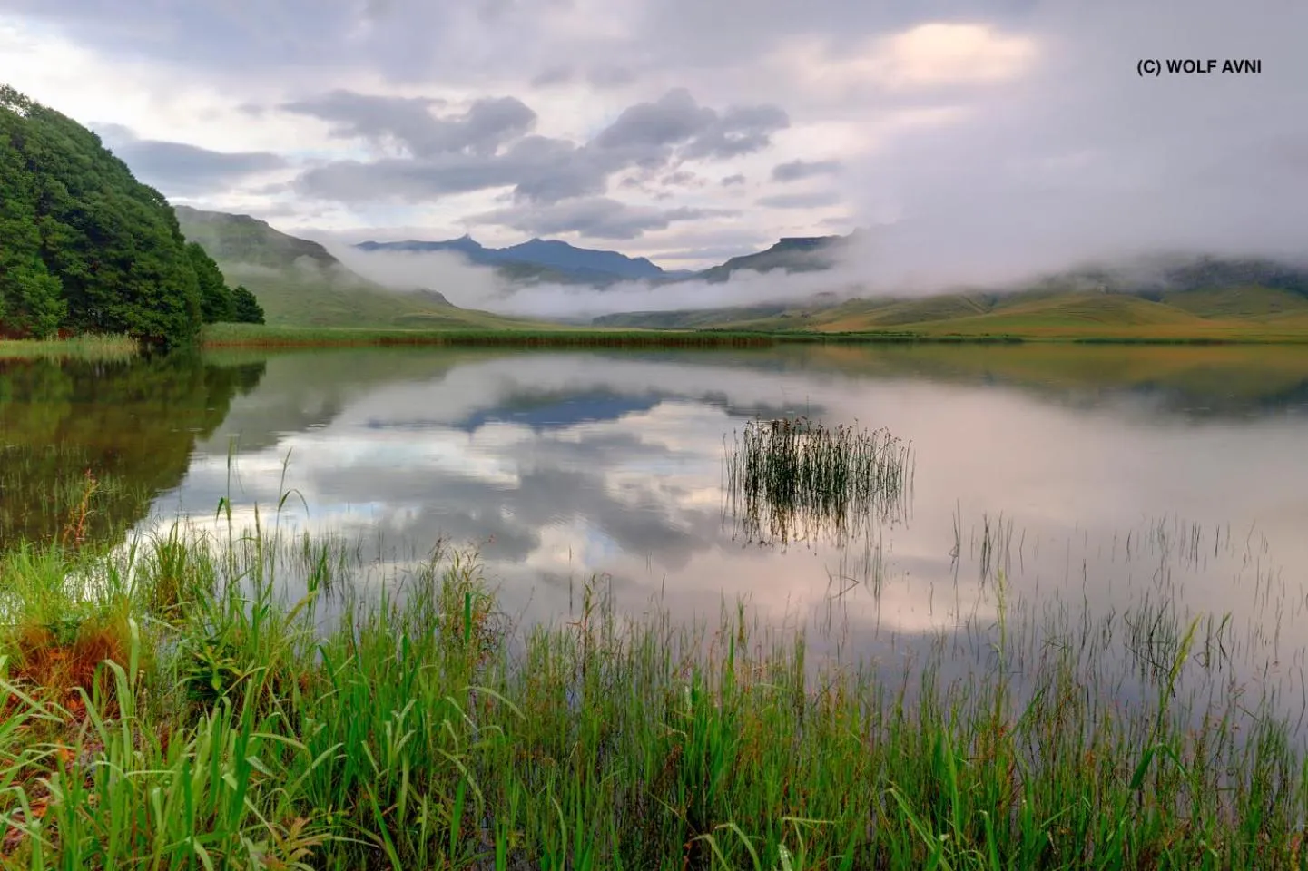 Natural landscape in Giantscup Wilderness Reserve