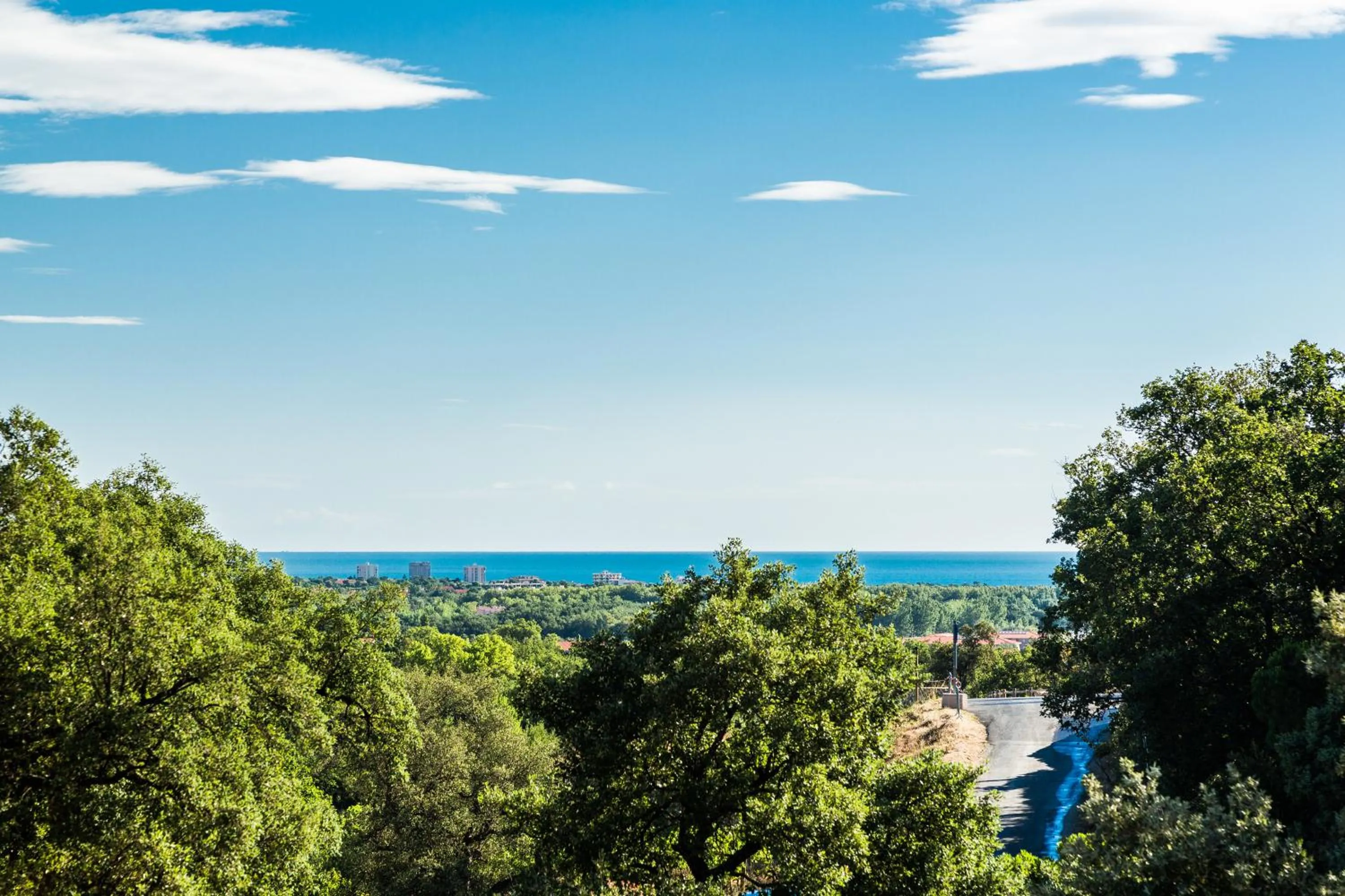 Domaine Des Mimosas