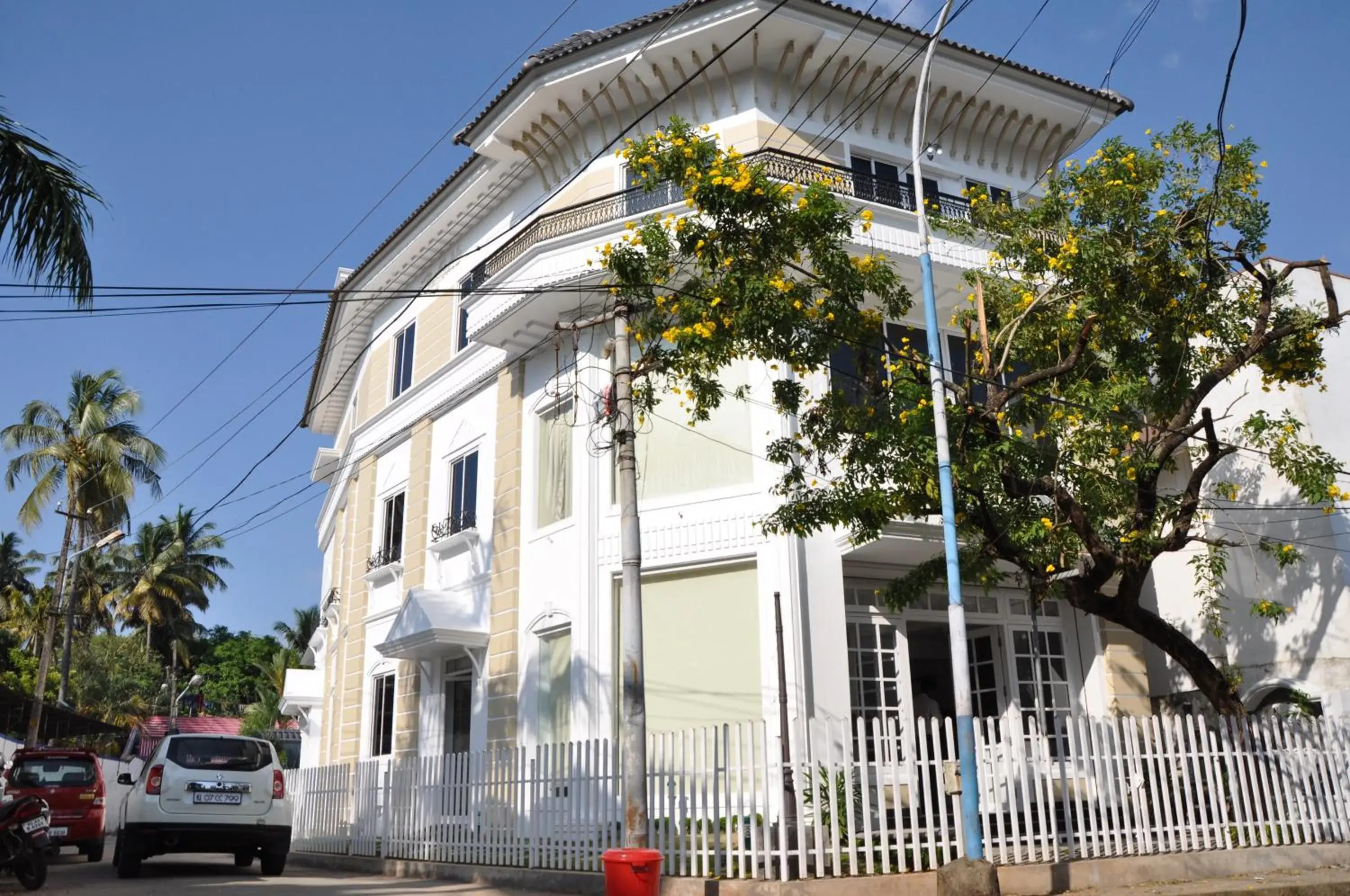 Daffodils Spice Court Daffodils Spice Court