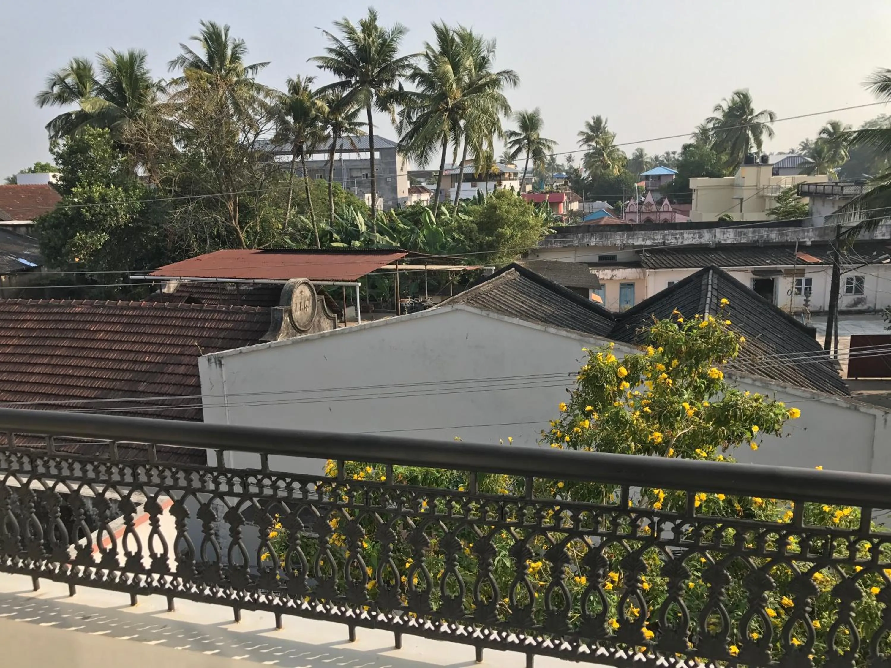 Property building in Daffodils Spice Court