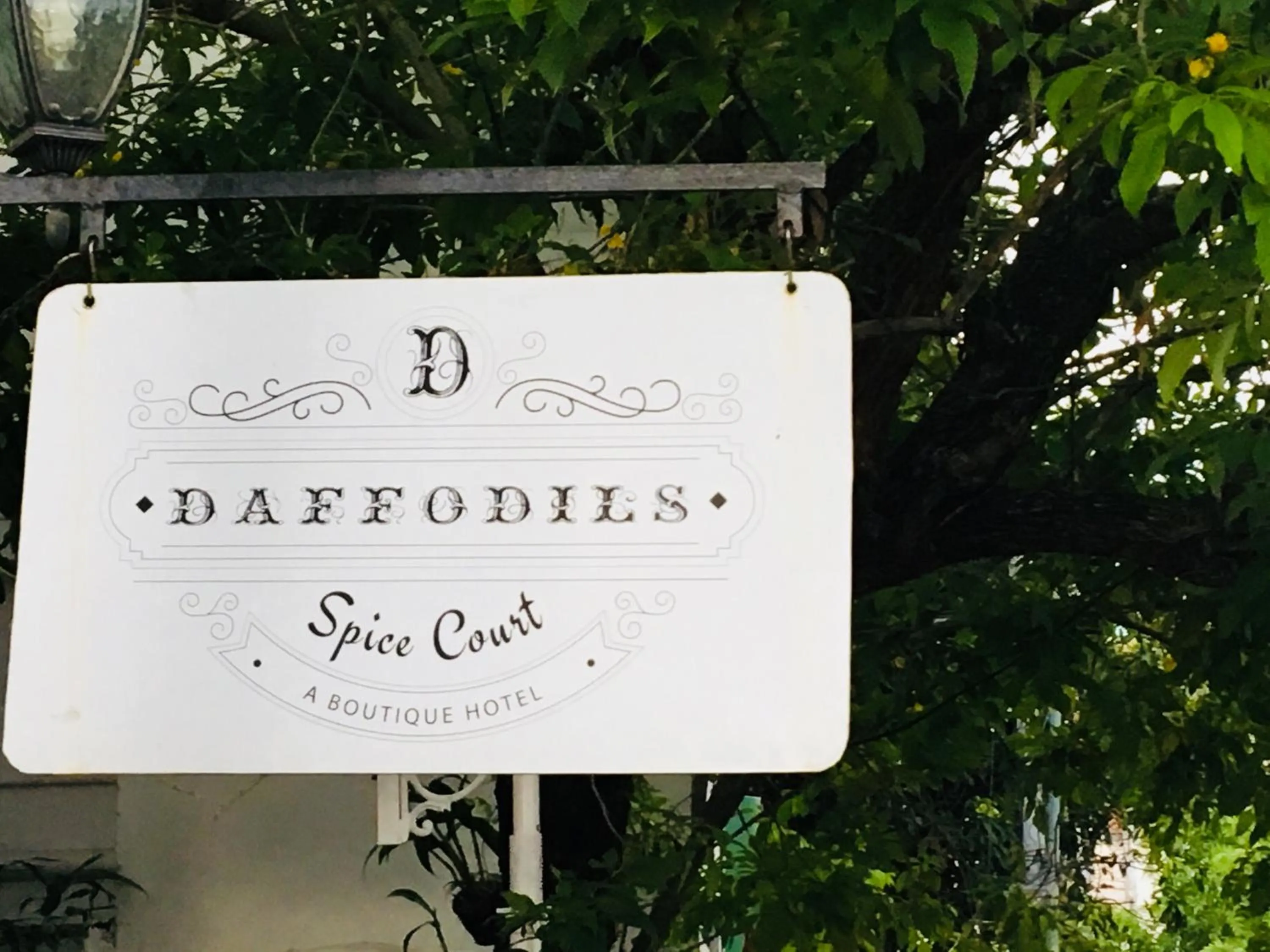 Logo/Certificate/Sign in Daffodils Spice Court