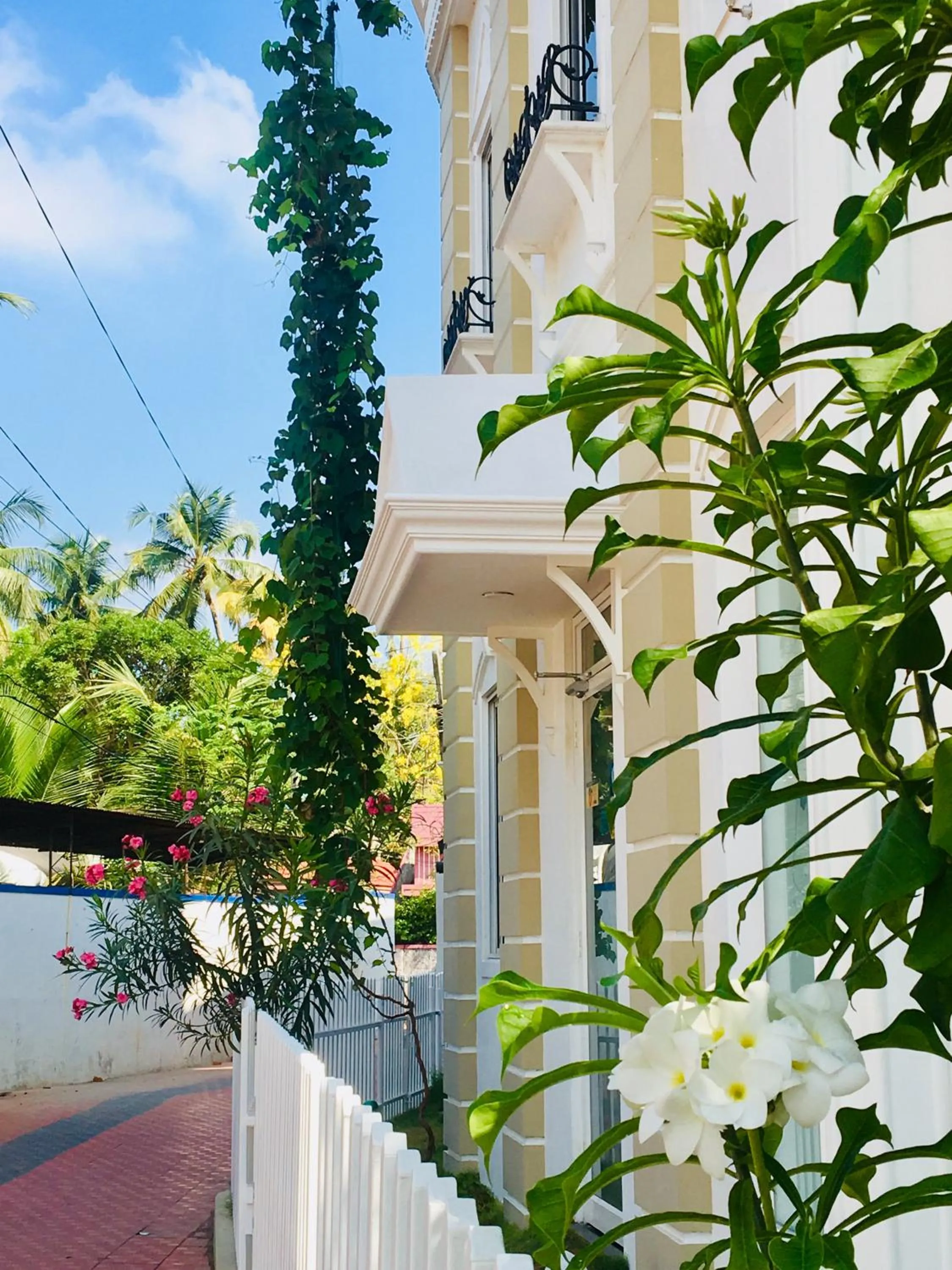 Garden in Daffodils Spice Court