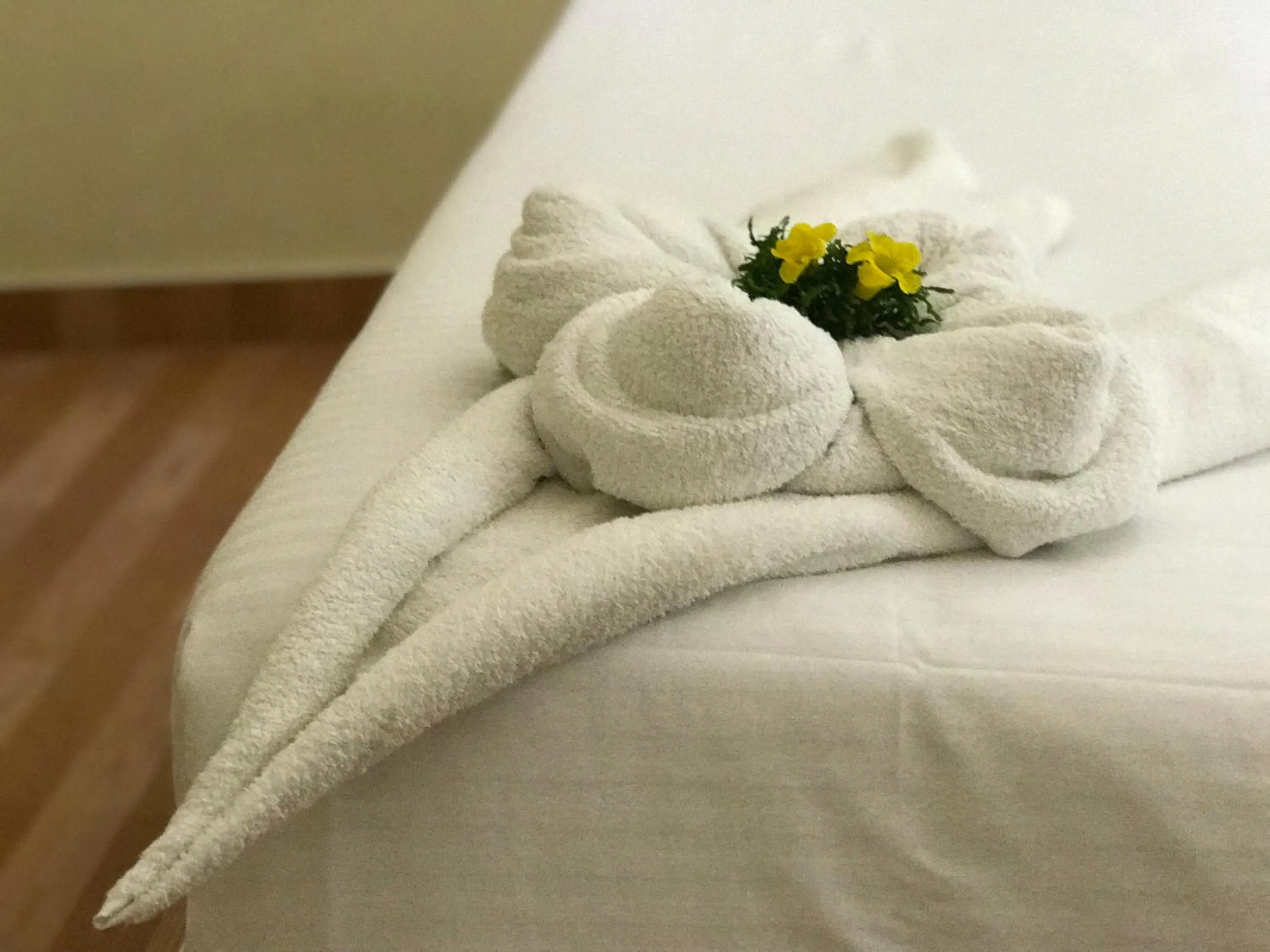 Area and facilities, Bed in Daffodils Spice Court