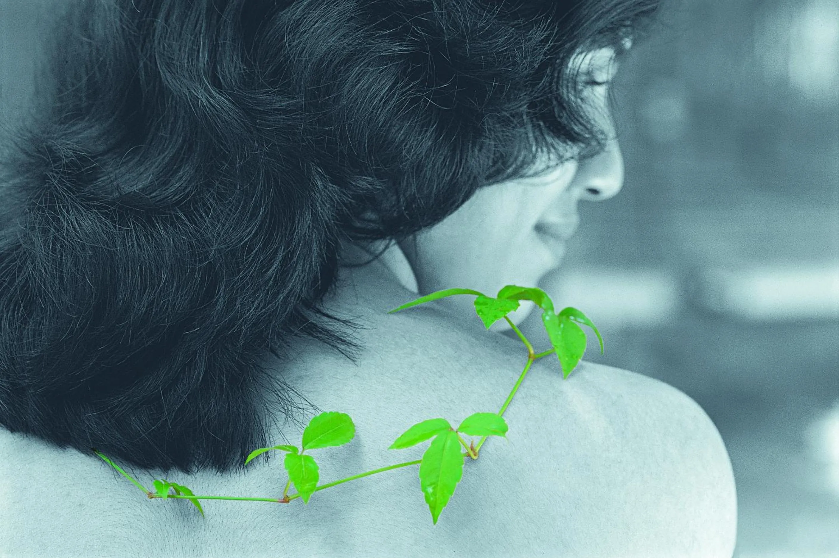 Massage in Reen Resorts Aanavilasam Plantation Thekkady