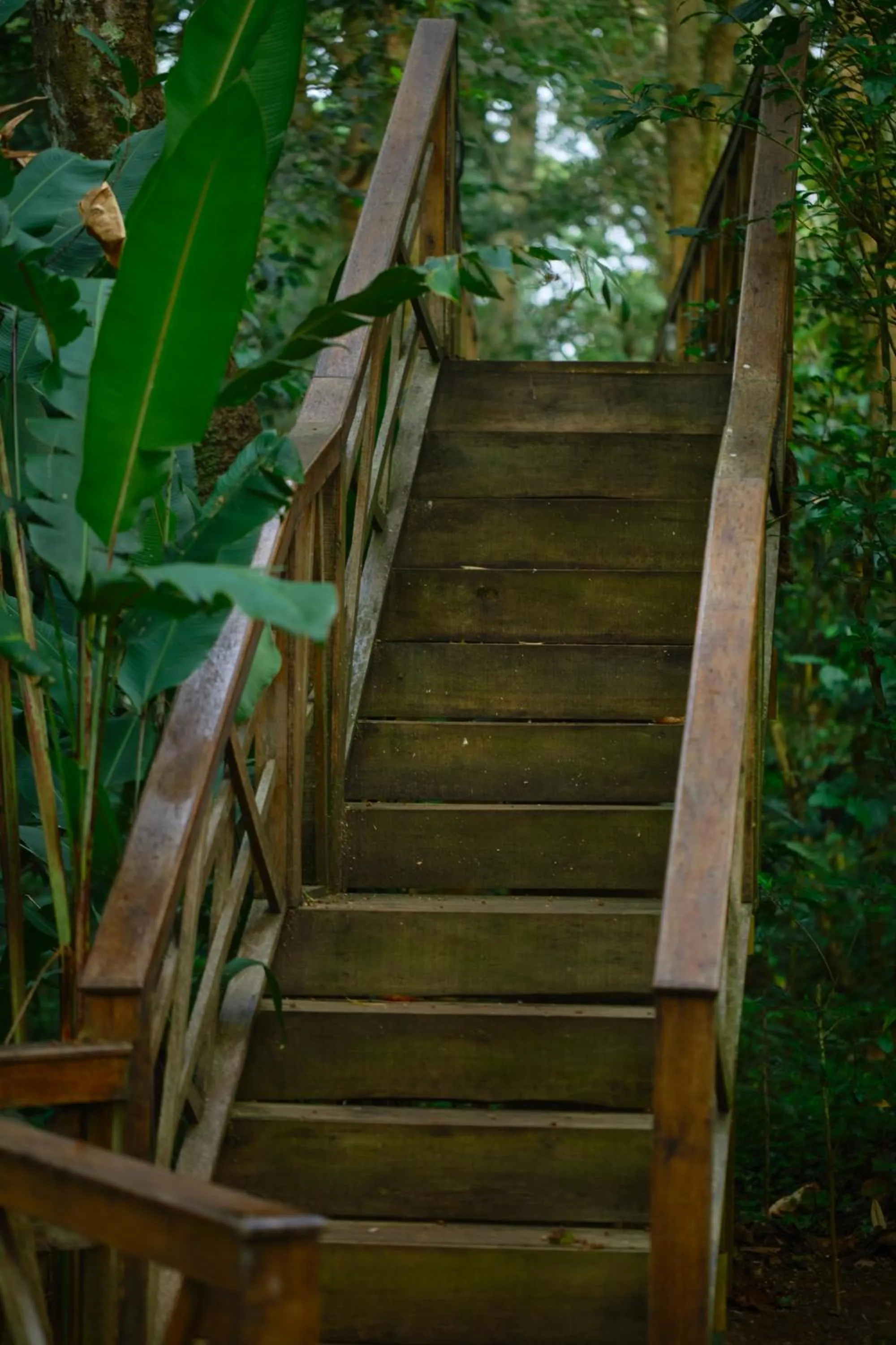 Day in Reen Resorts Aanavilasam Plantation Thekkady